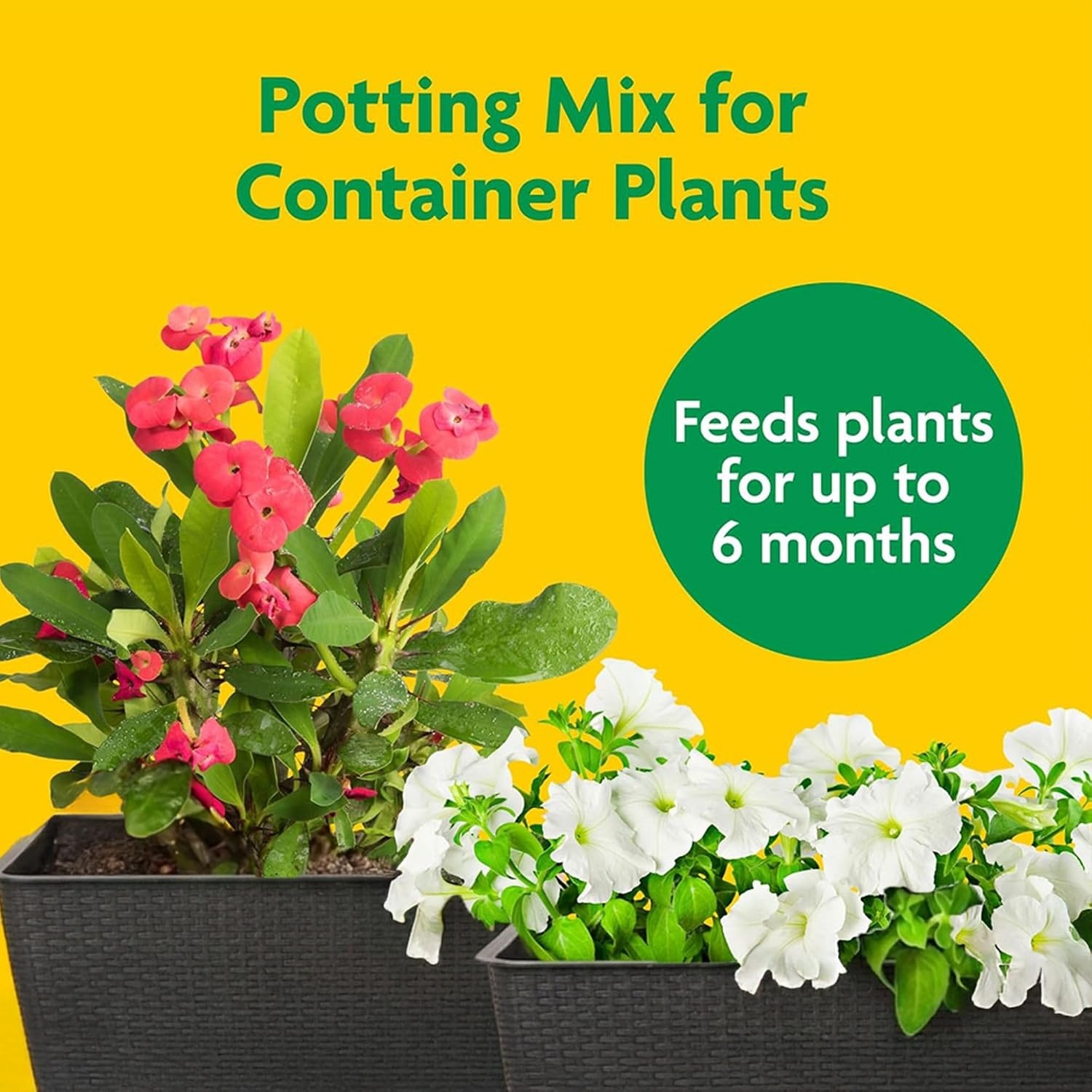 image:imageMiracleGro 2 Cu Ft Potting Mix and 24Pack Indoor Plant Food SpikesPotting Mix and Plant Food Bundle