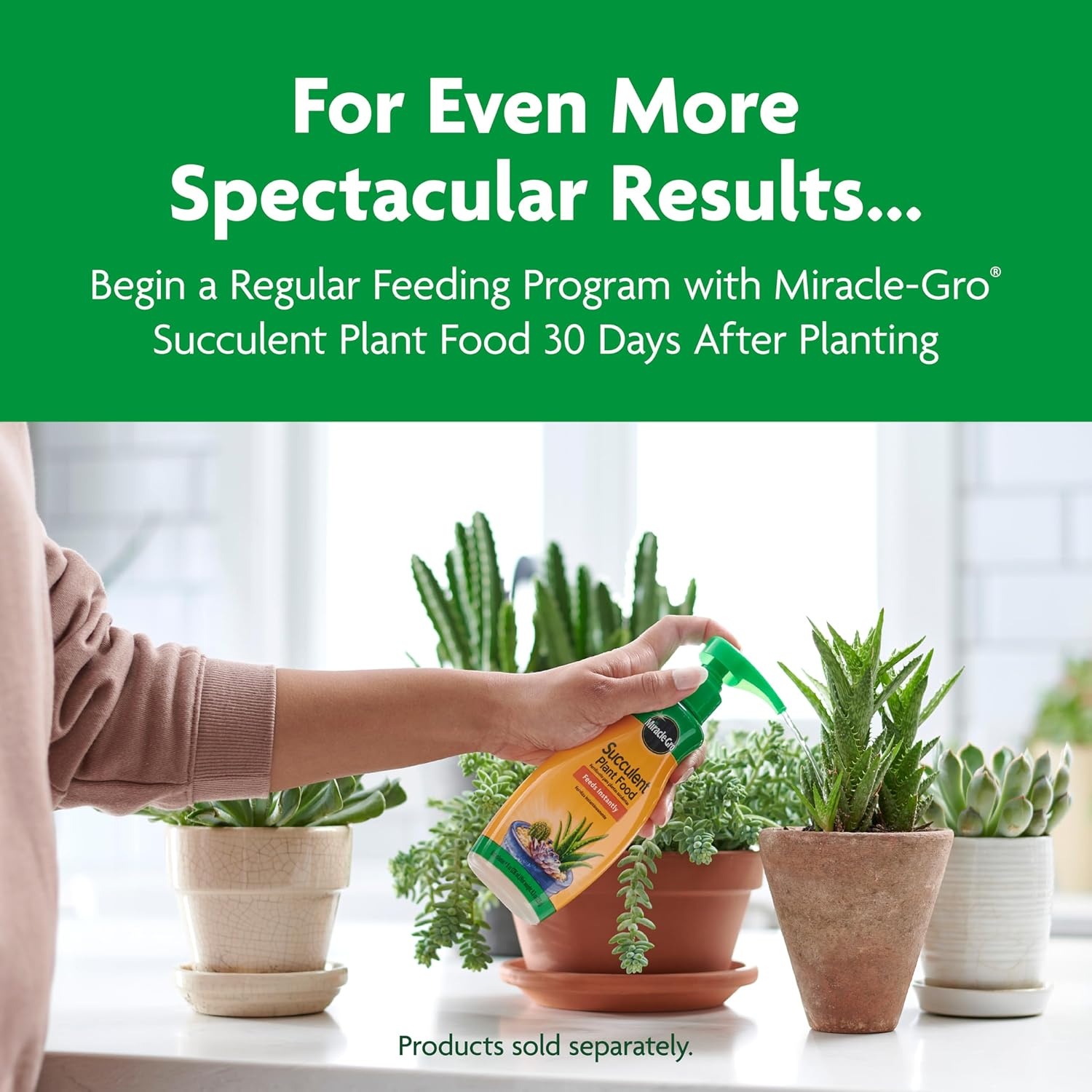 image:imageMiracleGro Cactus Palm amp Citrus Potting Mix 8 qt1Pack