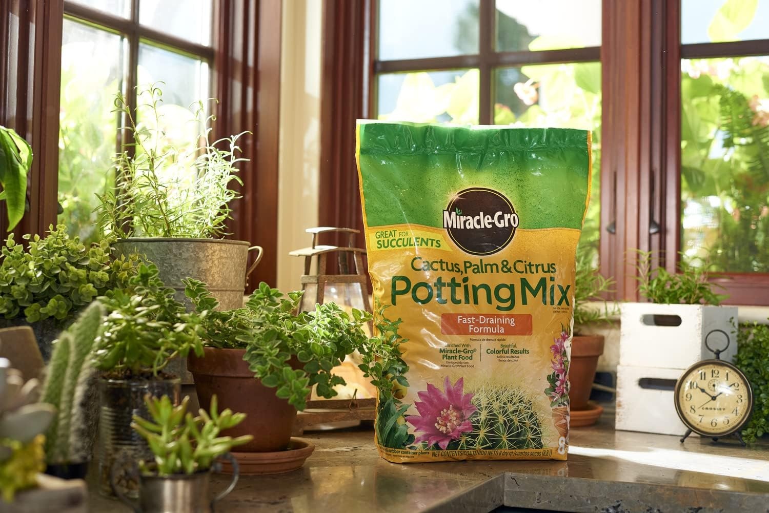 image:imageMiracleGro Cactus Palm amp Citrus Potting Mix 8 qt2Pack