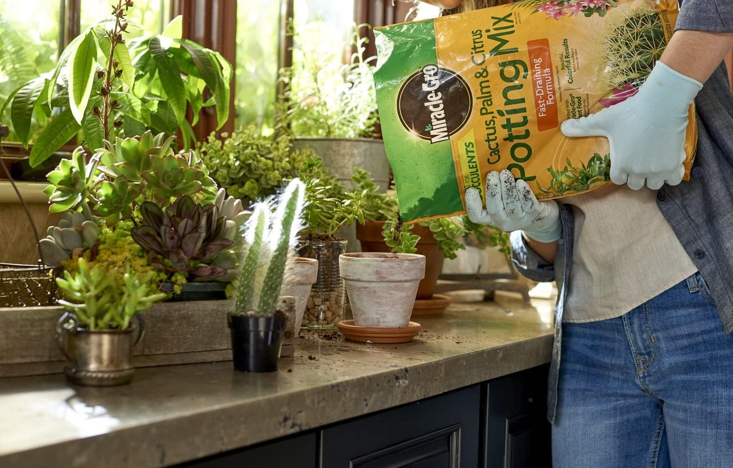 image:imageMiracleGro Cactus Palm amp Citrus Potting Mix 8 qt2Pack