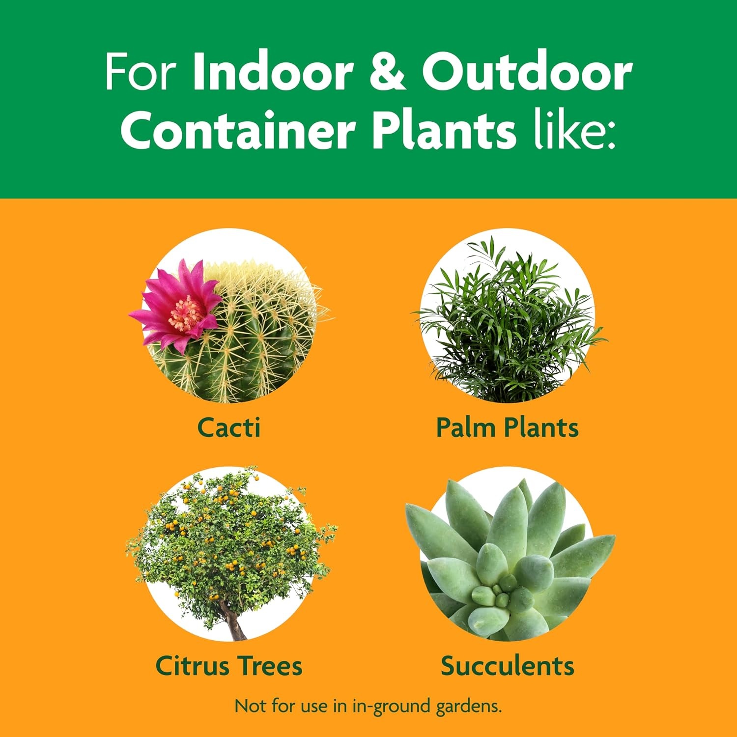 image:imageMiracleGro Cactus Palm amp Citrus Potting Mix 8 qt6Pack