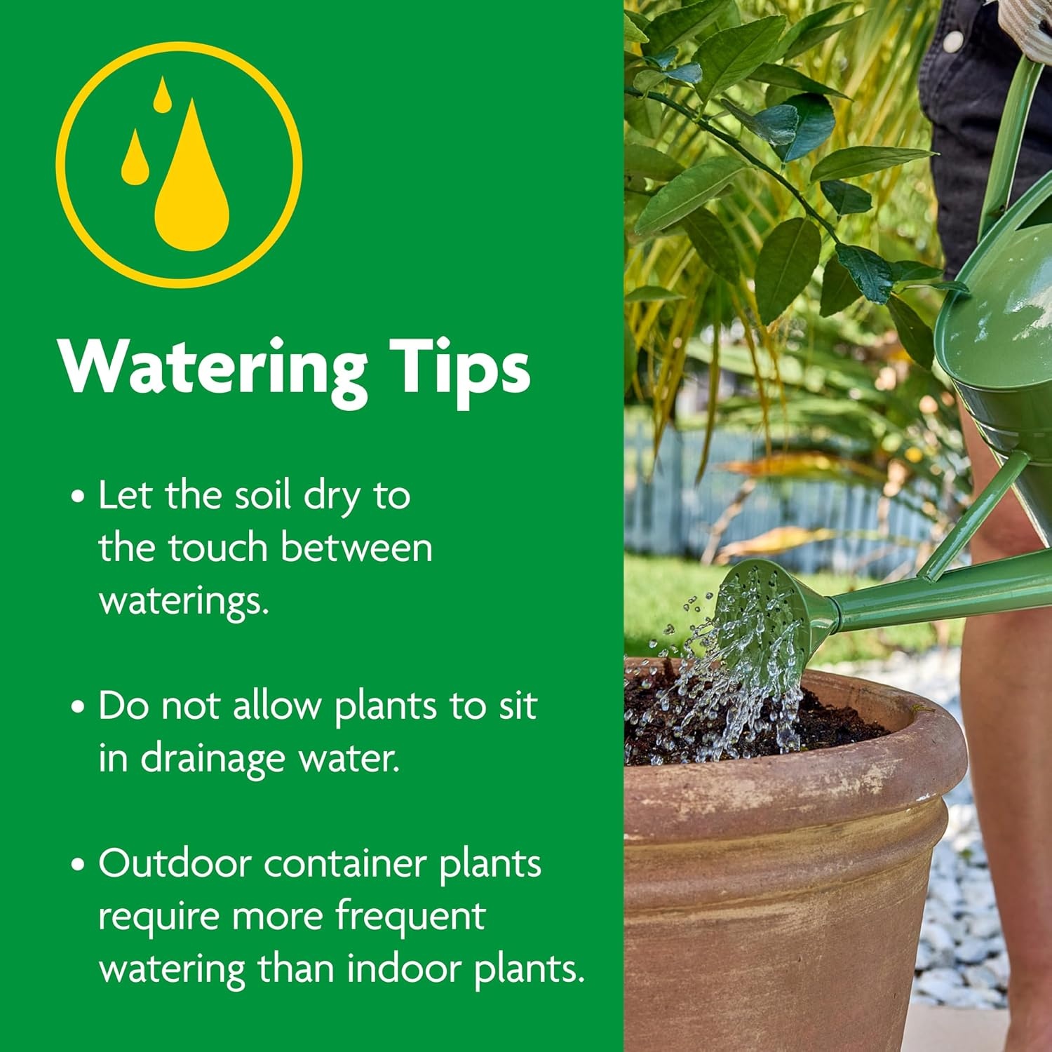 image:imageMiracleGro Cactus Palm amp Citrus Potting Mix 8 qt6Pack