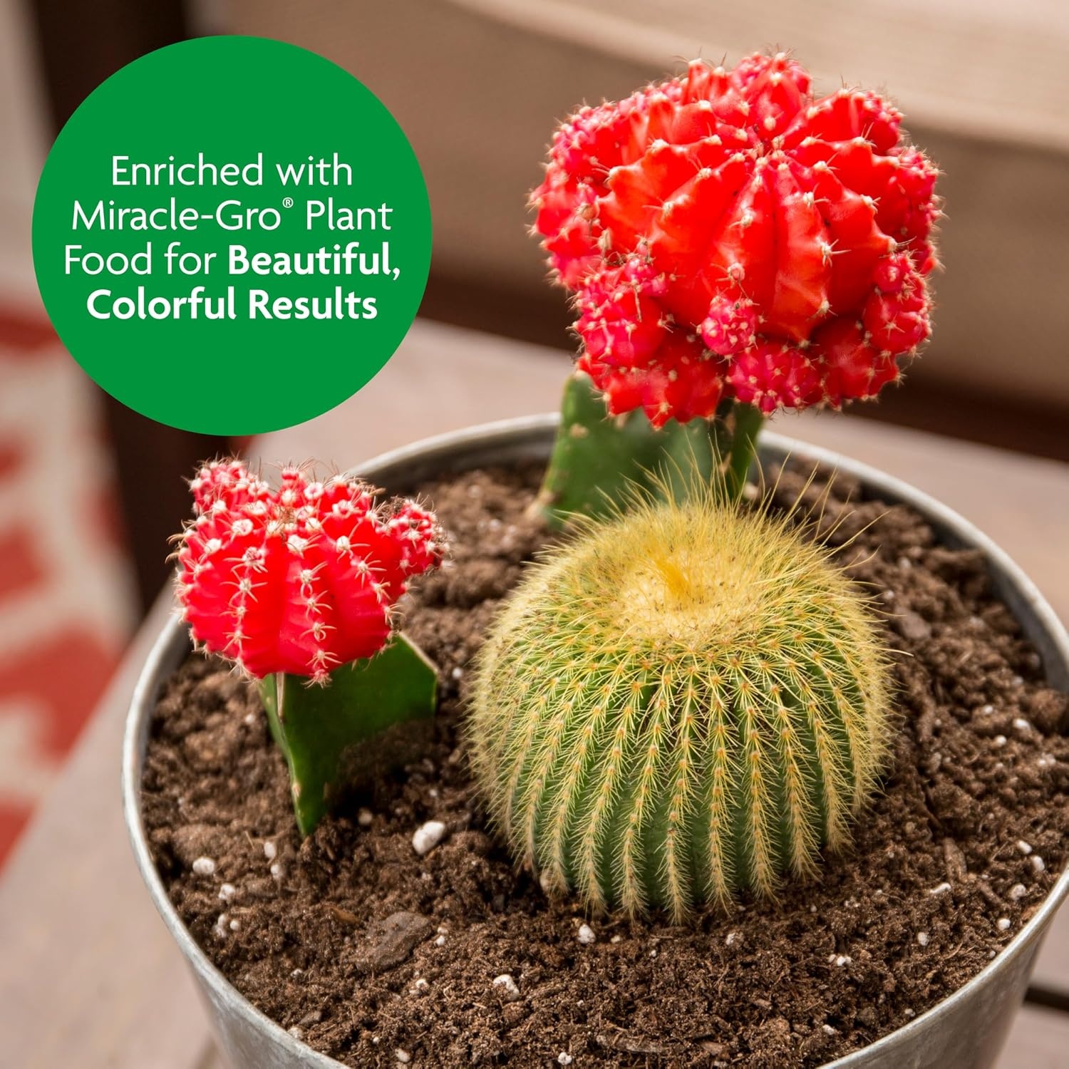 image:imageMiracleGro Cactus Palm amp Citrus Potting Mix 8 qt6Pack