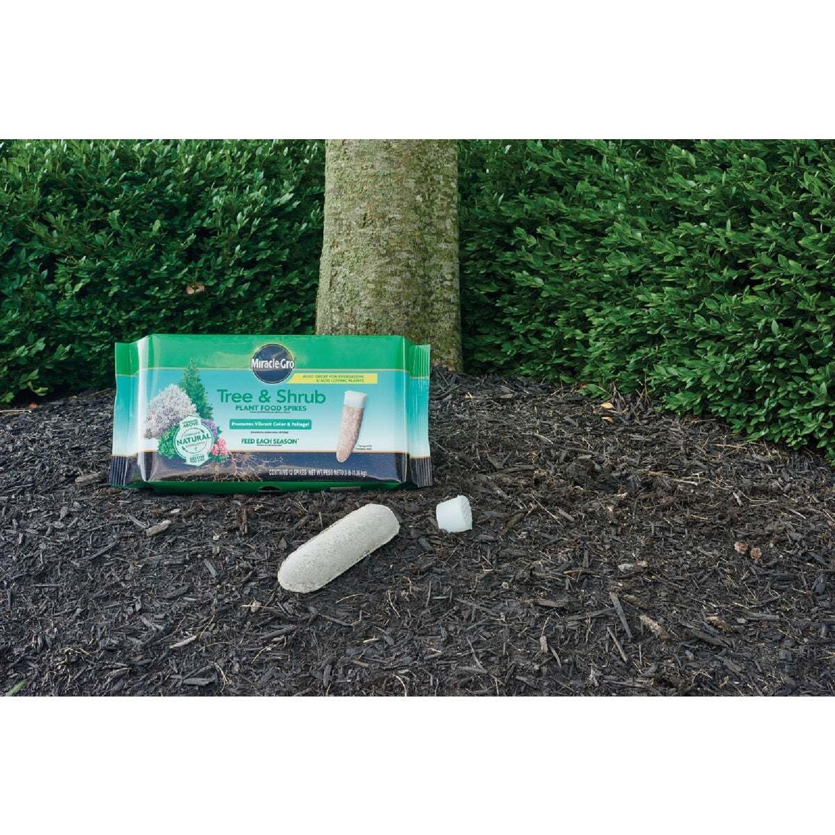 image:imageMiracleGro Fruit amp Citrus Plant Food Spikes 12 Spikes 3 lbTree Shrub Pack of 12
