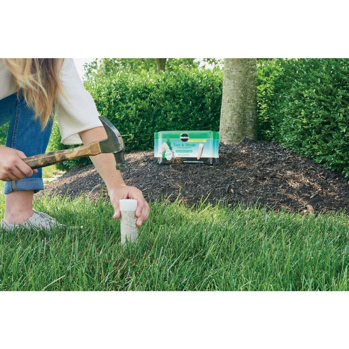 image:imageMiracleGro Fruit amp Citrus Plant Food Spikes 12 Spikes 3 lbTree Shrub Pack of 12