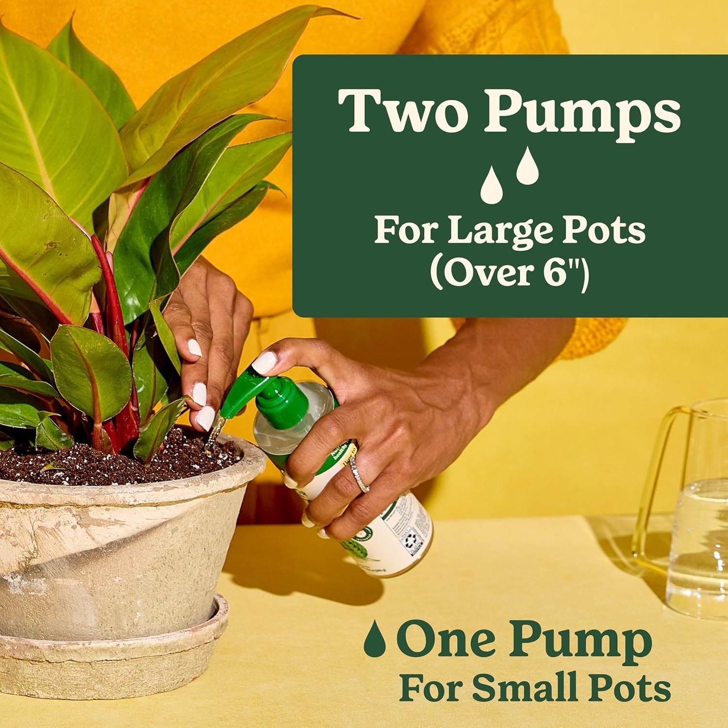 image:imageMiracleGro Indoor Plant Food Mist for Orchids 8 fl oz 2PackAll Plants