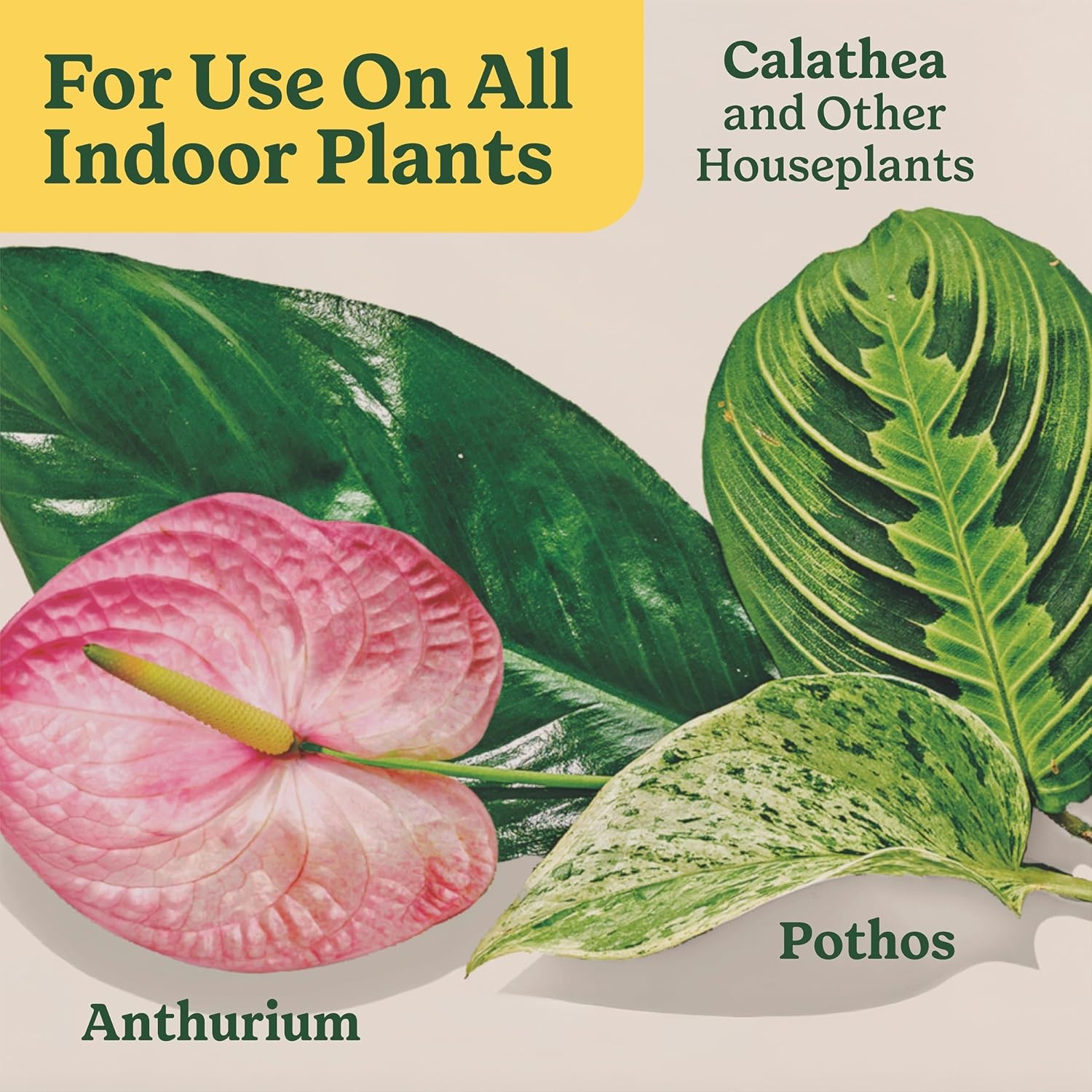 image:imageMiracleGro Indoor Plant Food Mist for Orchids 8 fl oz 2PackAll Plants