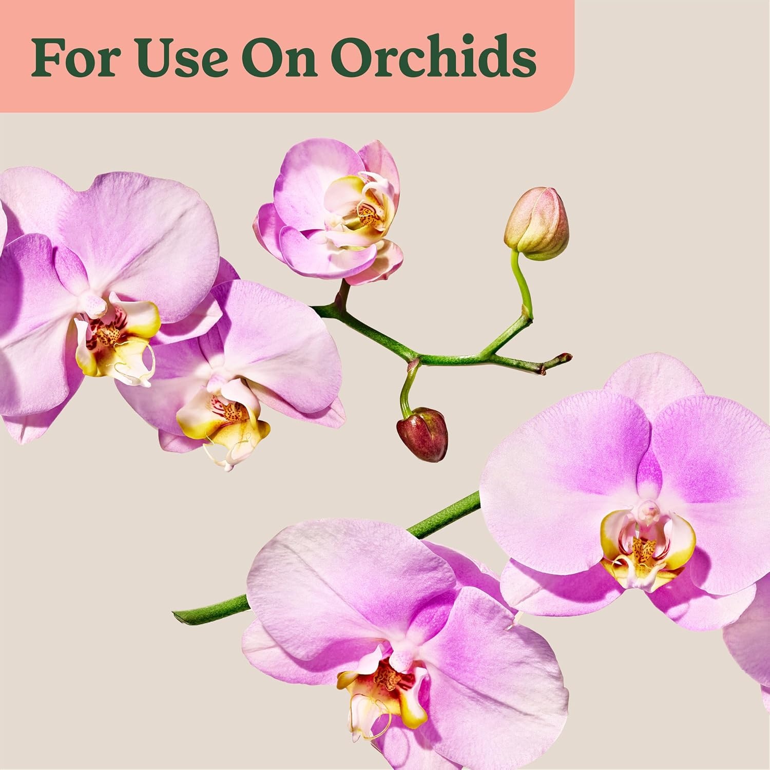 image:imageMiracleGro Indoor Plant Food Mist for Orchids 8 fl oz 2PackOrchid Mist