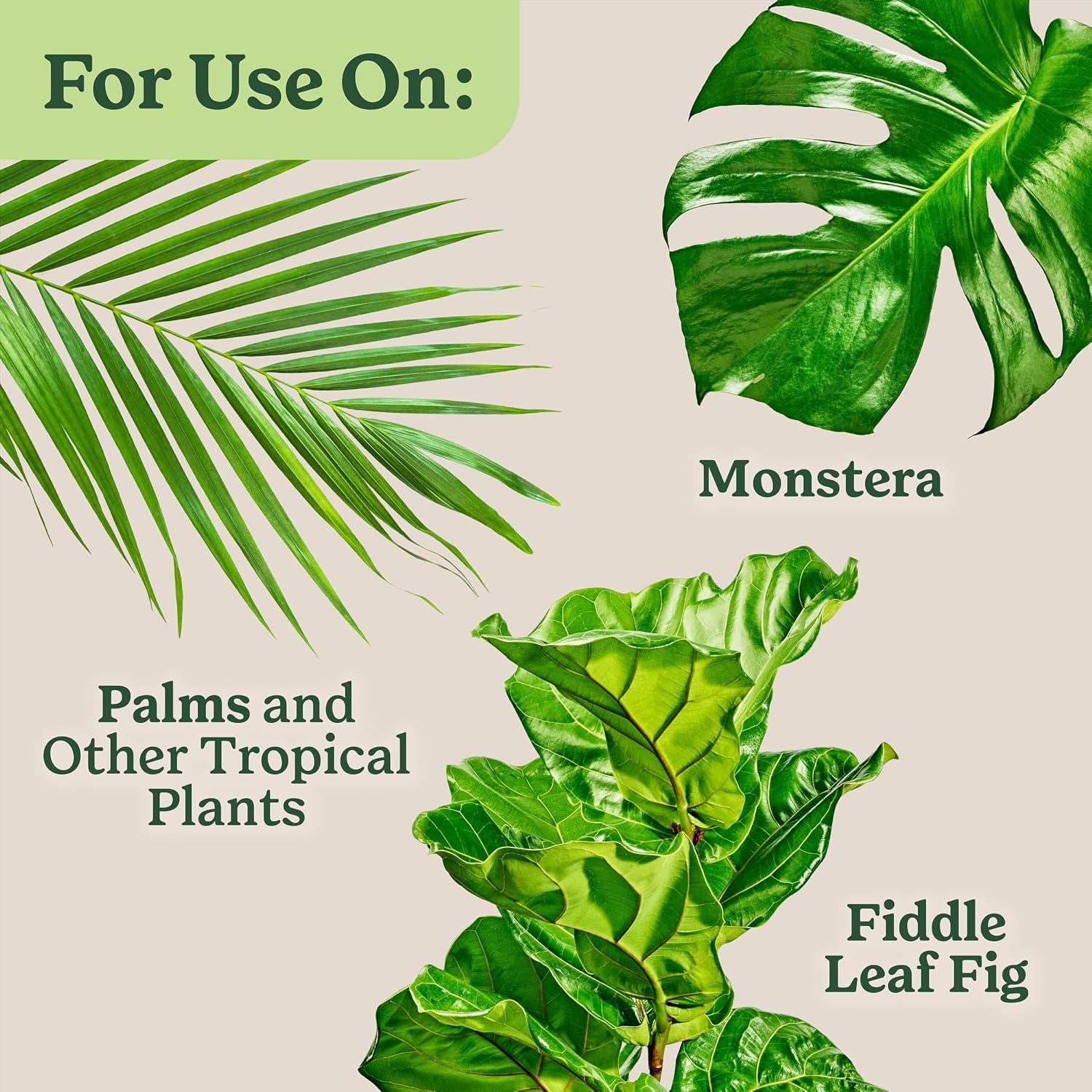 image:imageMiracleGro Indoor Plant Food Mist for Orchids 8 fl oz 2PackTropical