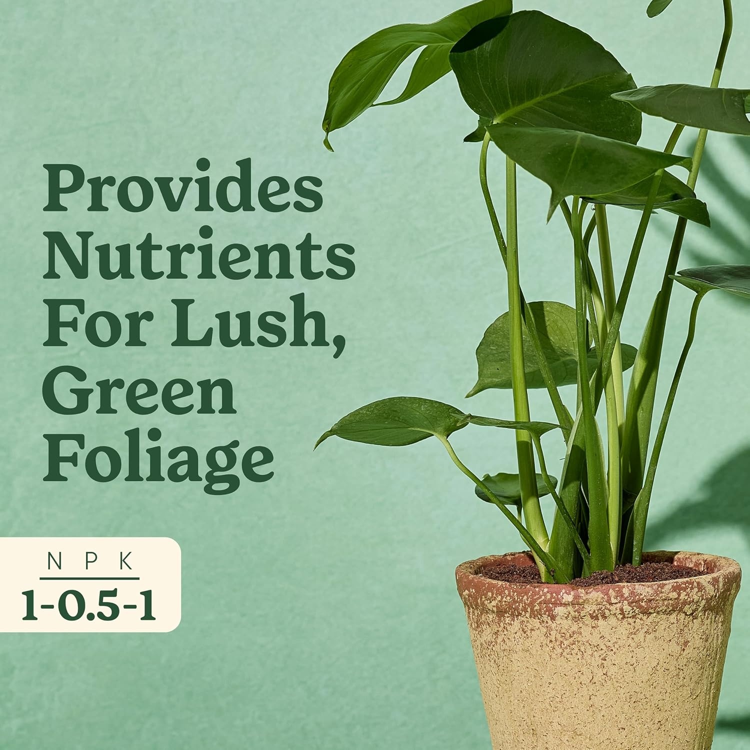 image:imageMiracleGro Indoor Plant Food Mist for Orchids 8 fl oz 2PackTropical