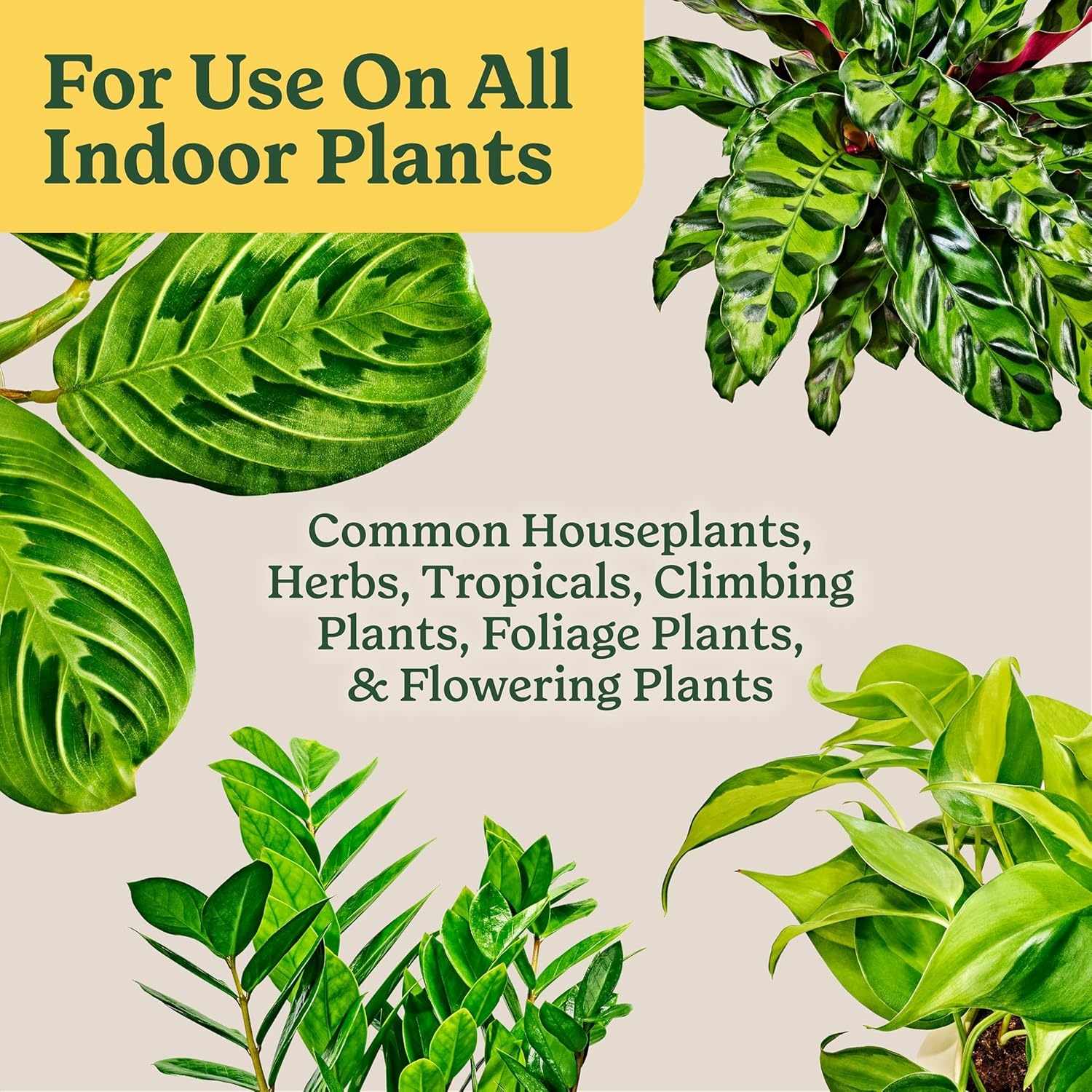 image:imageMiracleGro Indoor Potting Mix for All Plants 16 qt 2Pack6 qt 2Pack