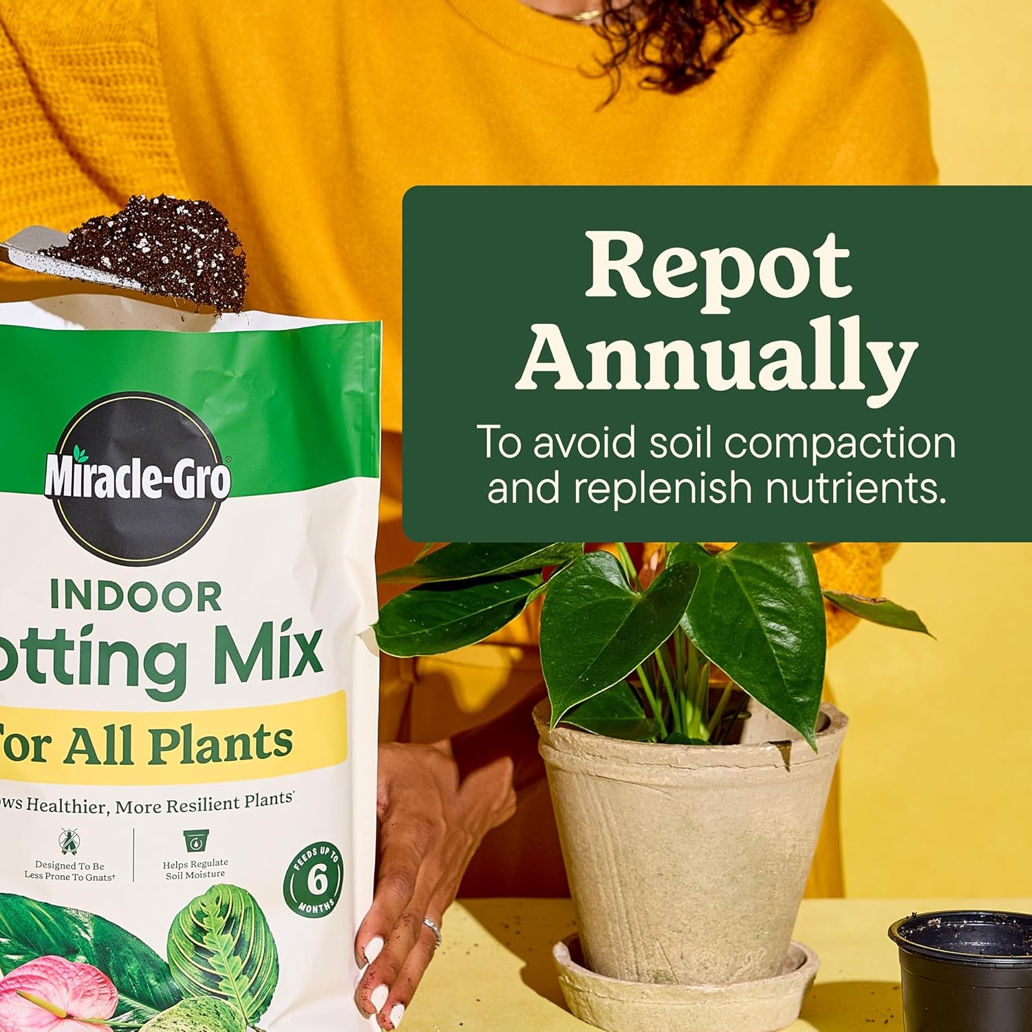 image:imageMiracleGro Indoor Potting Mix for All Plants 16 qt 2Pack6 qt 2Pack