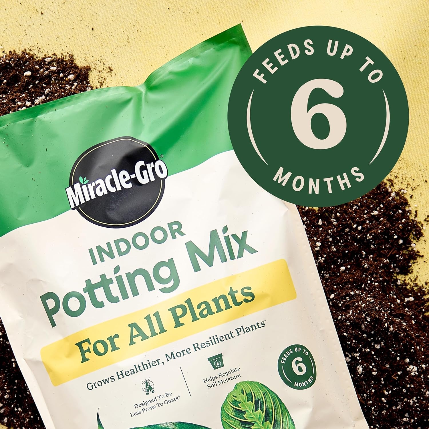 image:imageMiracleGro Indoor Potting Mix for All Plants 16 qt 2Pack6 qt 2Pack
