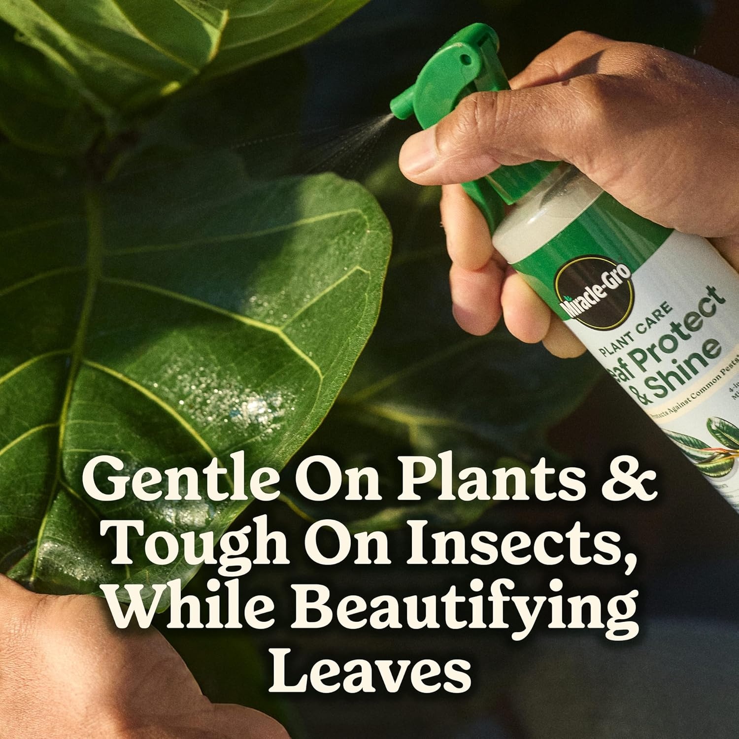 image:imageMiracleGro Indoor Potting Mix for All Plants 16 qt 2Pack6 qt Care Bundle