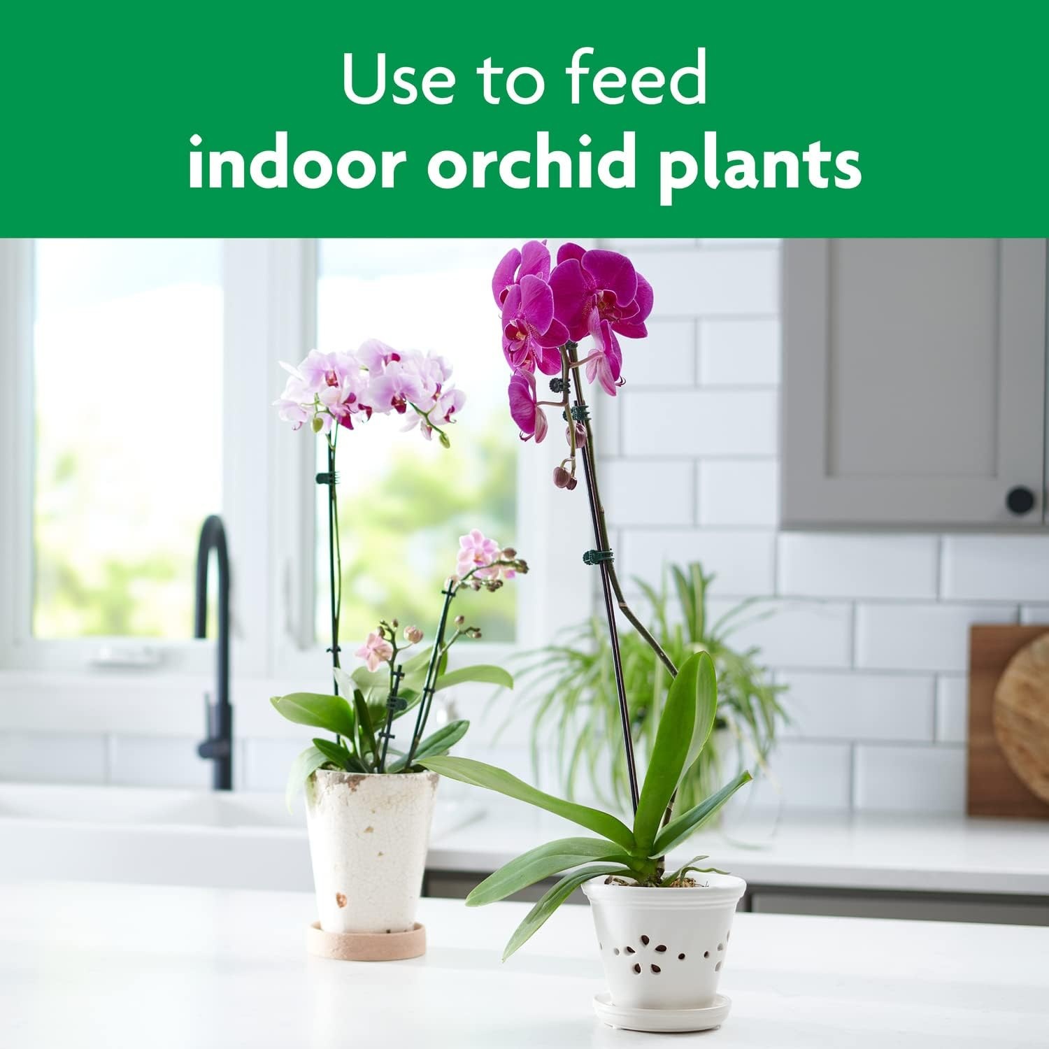 image:imageMiracleGro Indoor Potting Mix for Orchids 8 qt 2PackPlant Food Mist