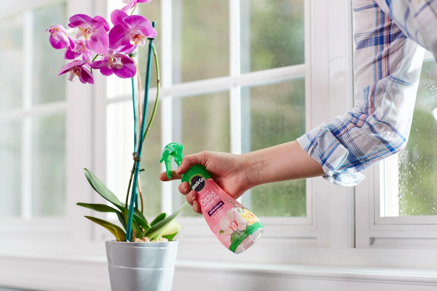 image:imageMiracleGro Indoor Potting Mix for Orchids 8 qt 2PackPlant Food Mist