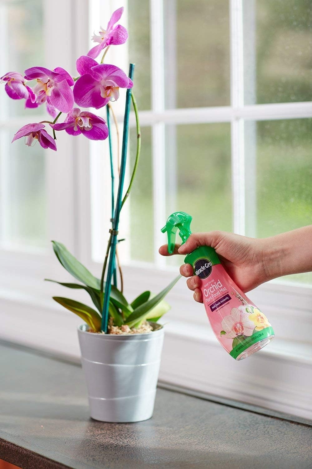image:imageMiracleGro Indoor Potting Mix for Orchids 8 qt 2PackPlant Food Mist