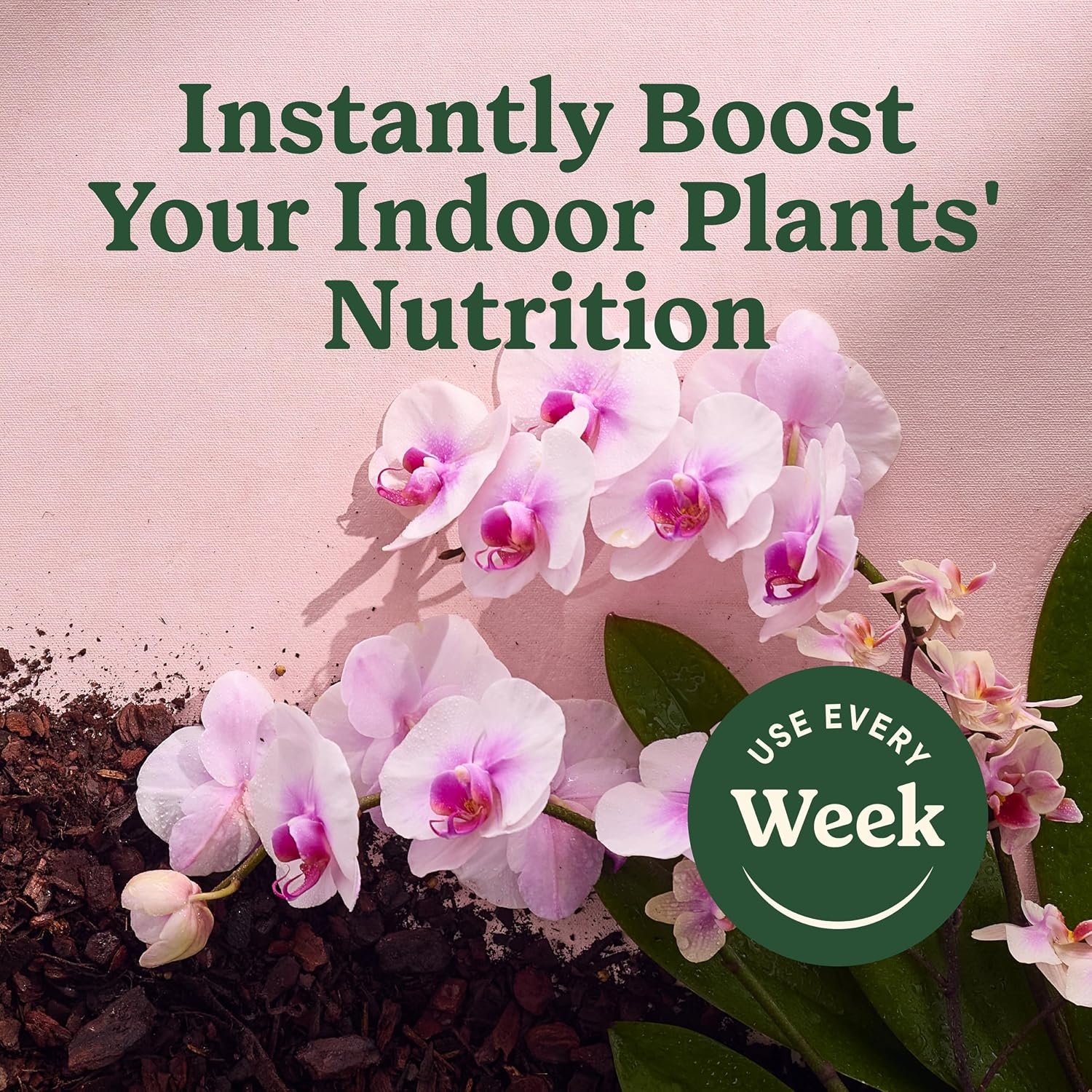 image:imageMiracleGro Indoor Potting Mix for Orchids 8 qt 2PackPlant Food Mist