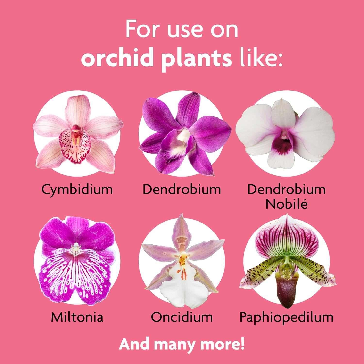 image:imageMiracleGro Indoor Potting Mix for Orchids 8 qt 2PackPlant Food Spikes