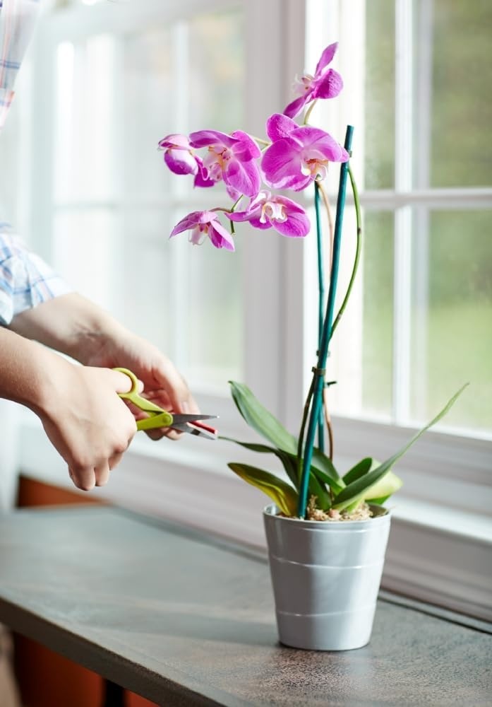 image:imageMiracleGro Indoor Potting Mix for Orchids 8 qt 2PackPlant Food Spikes