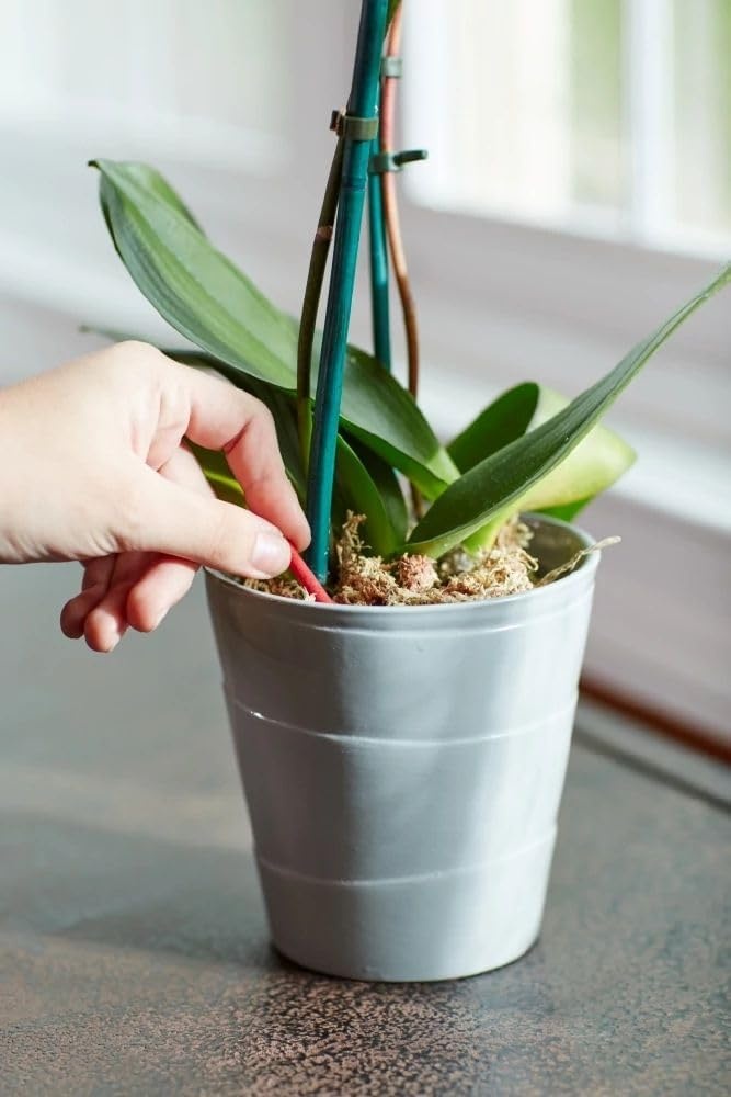 image:imageMiracleGro Indoor Potting Mix for Orchids 8 qt 2PackPlant Food Spikes