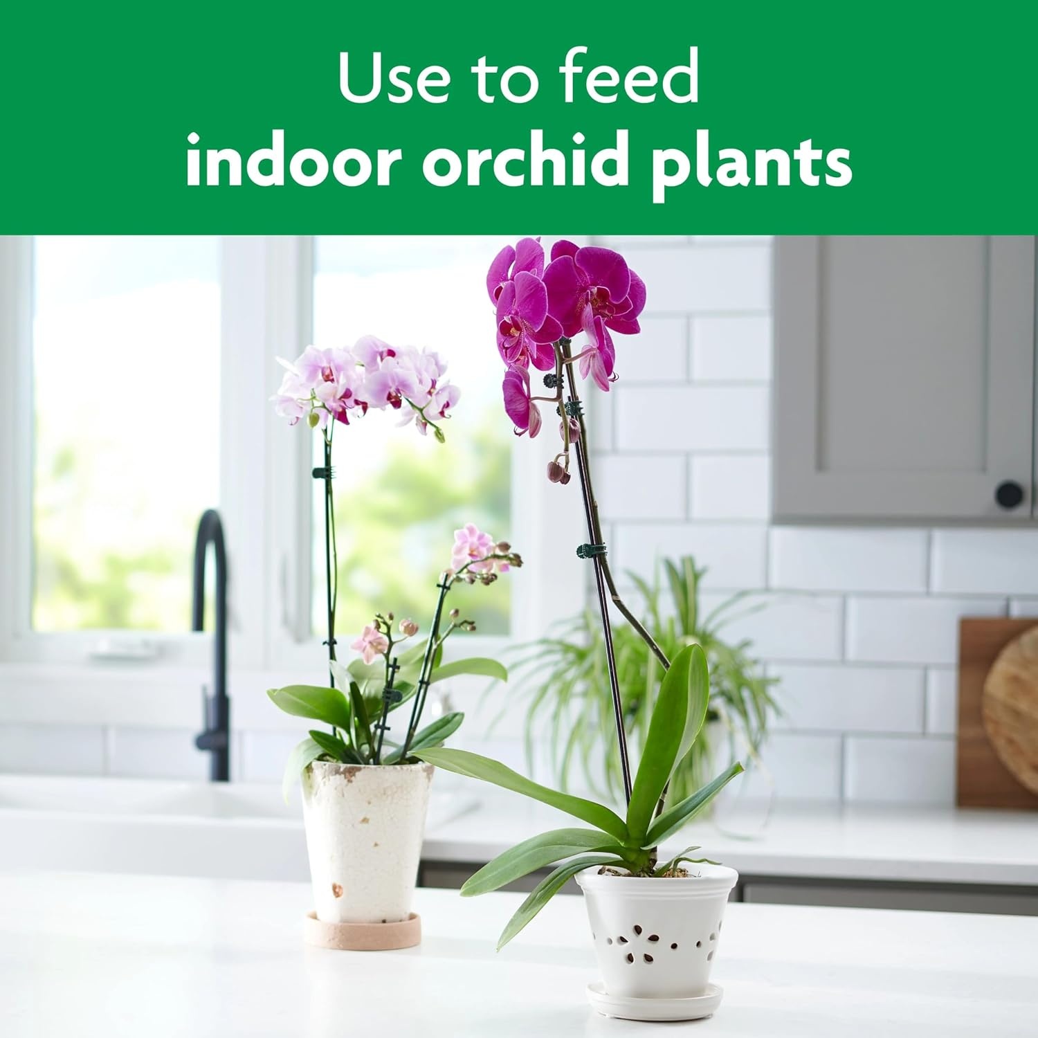 image:imageMiracleGro Indoor Potting Mix for Orchids 8 qt 2PackPlant Food Spikes