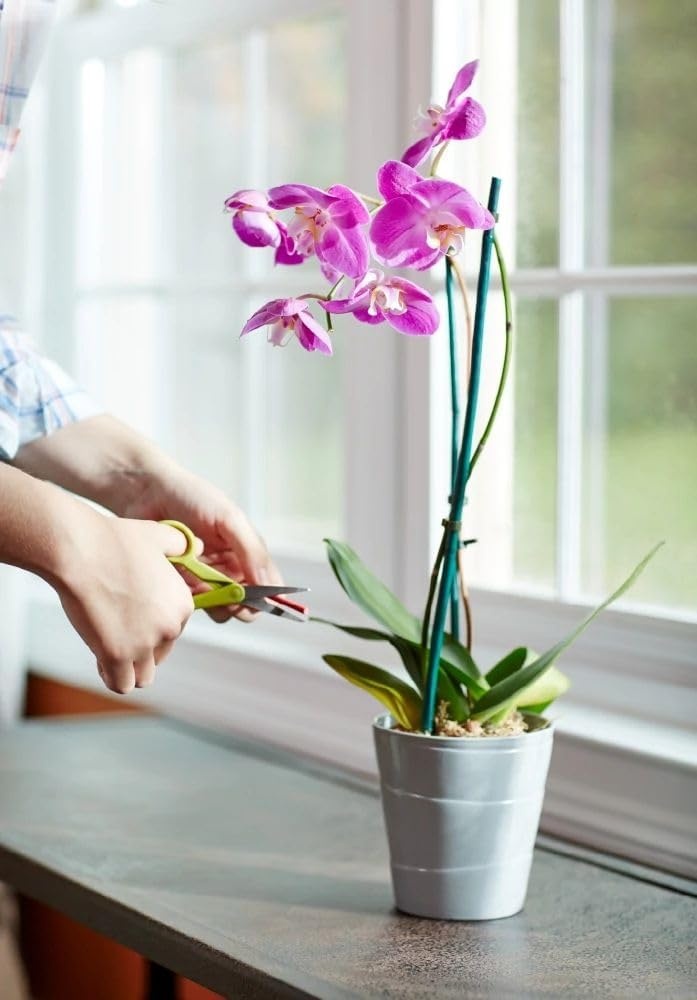 image:imageMiracleGro Indoor Potting Mix for Orchids 8 qt 2PackPlant Food Spikes