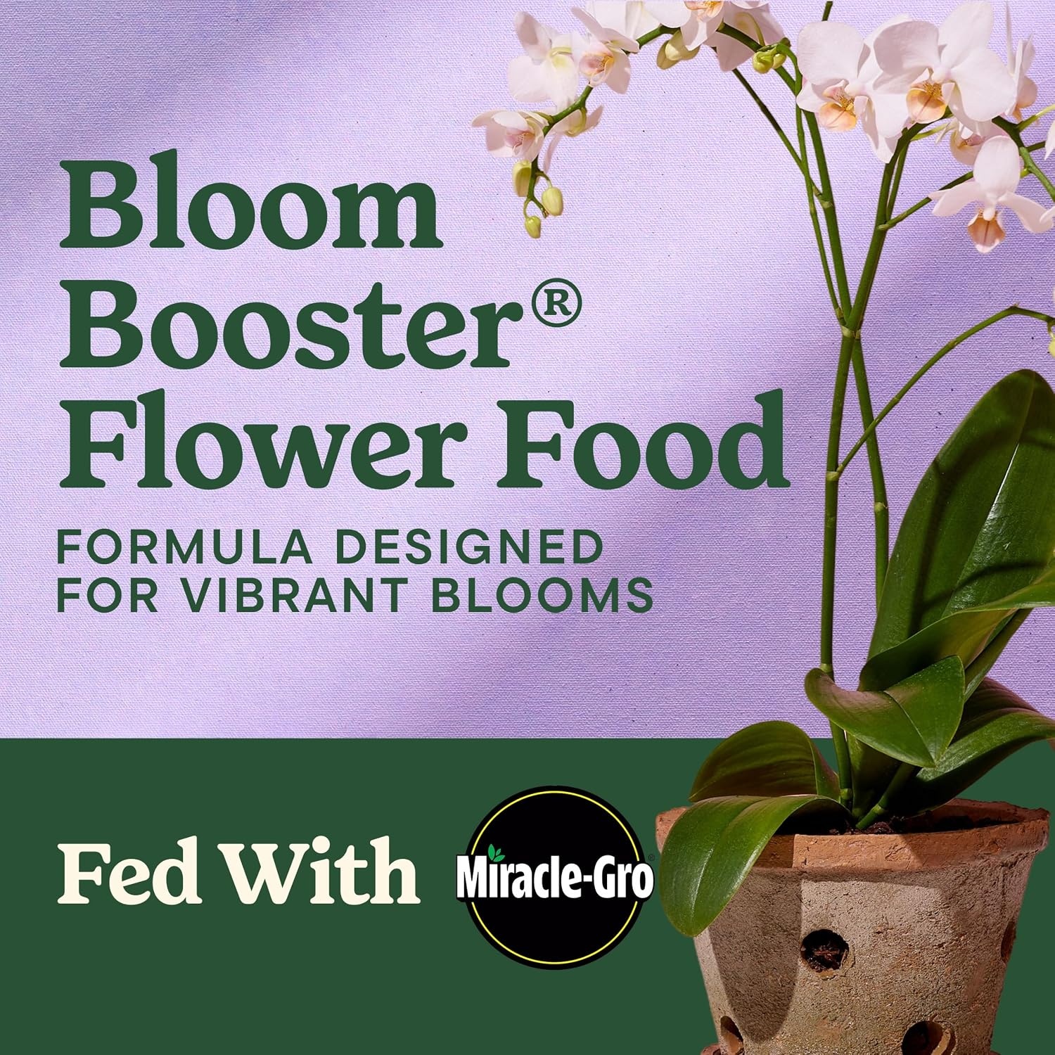 image:imageMiracleGro LiquaFeed All Purpose Plant Food Advance Starter KitRefill 2Pack