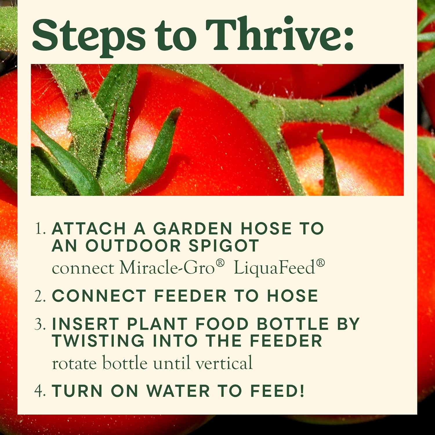 image:imageMiracleGro LiquaFeed All Purpose Plant Food Advance Starter KitRefill 2Pack