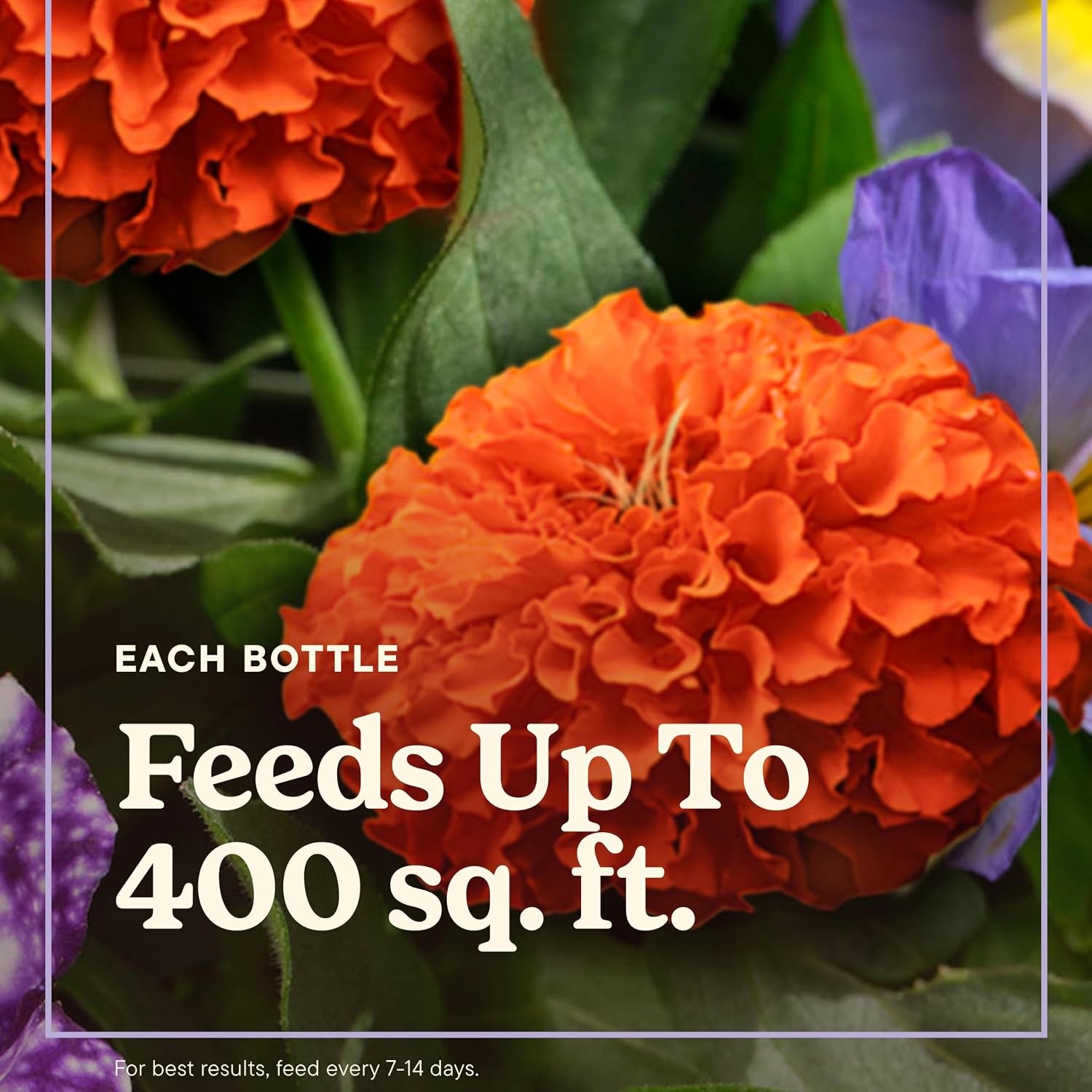 image:imageMiracleGro LiquaFeed All Purpose Plant Food Advance Starter KitRefill 2Pack