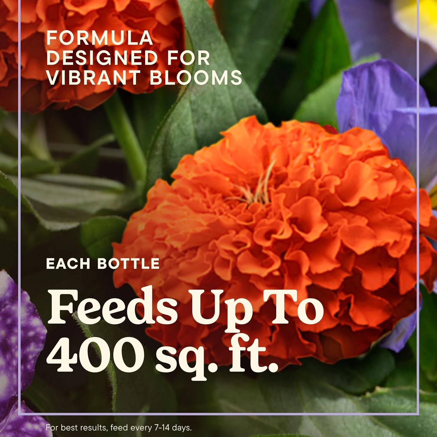 image:imageMiracleGro LiquaFeed All Purpose Plant Food Advance Starter KitStarter Kit Refills