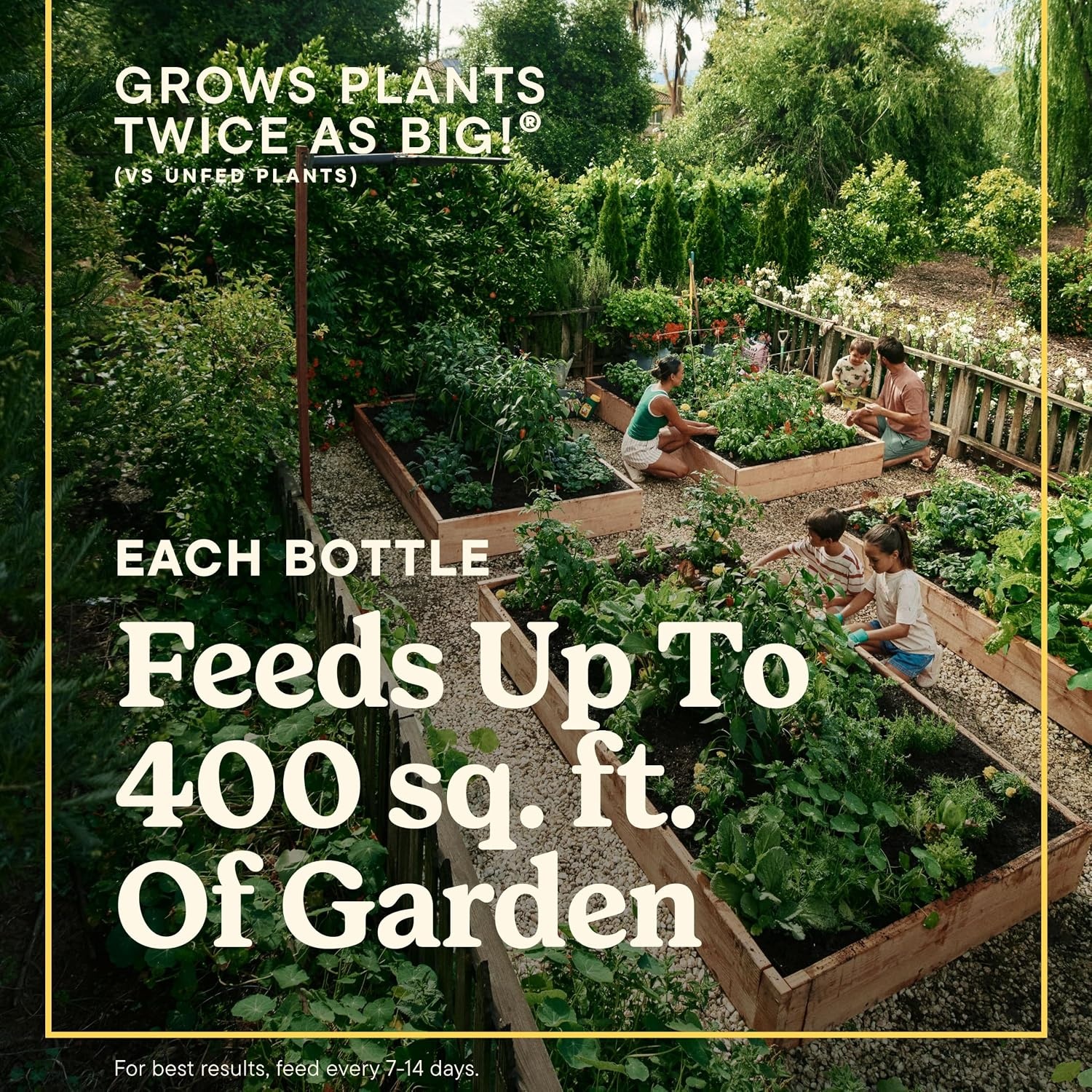 image:imageMiracleGro LiquaFeed All Purpose Plant Food Advance Starter KitStarter Kit Refills