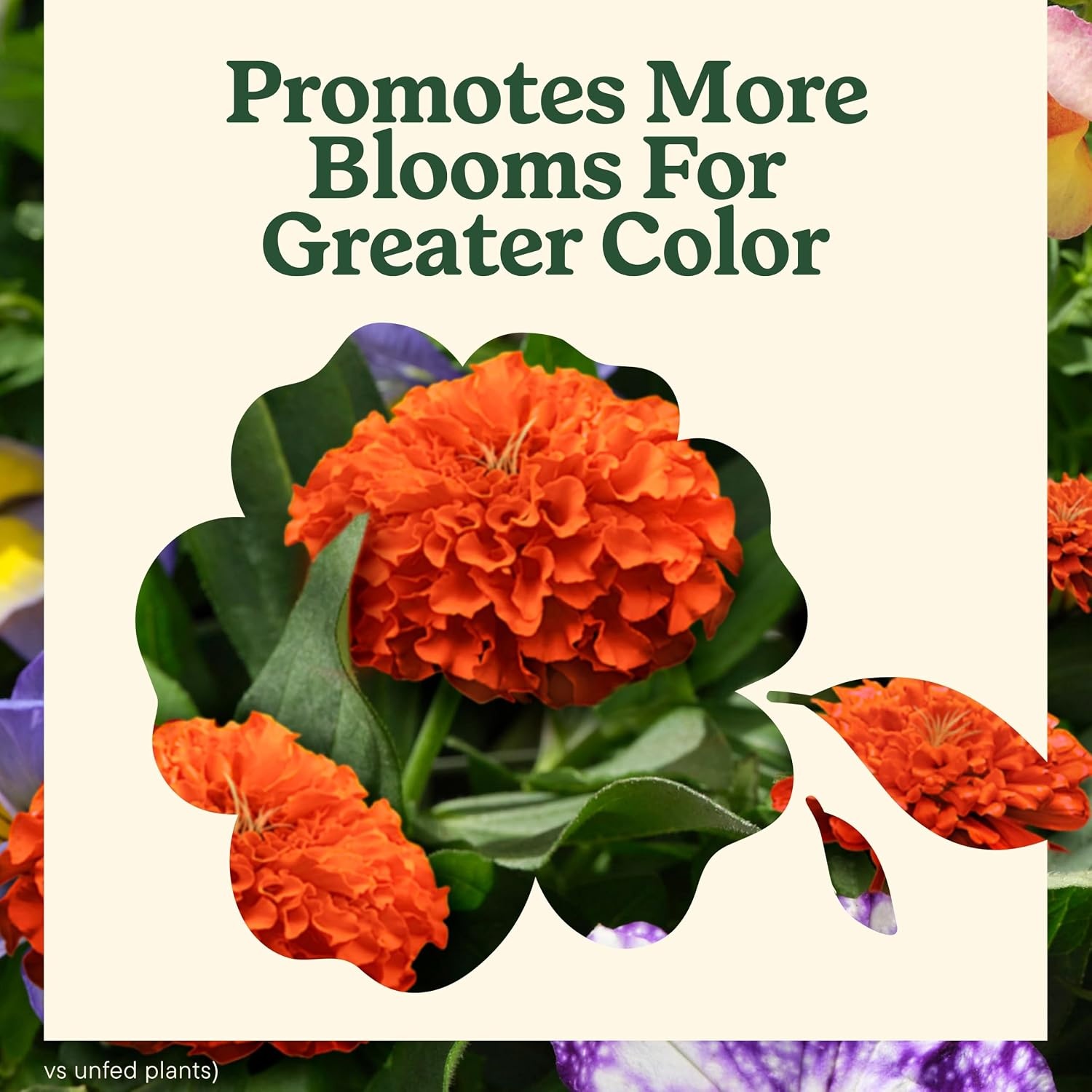 image:imageMiracleGro LiquaFeed All Purpose Plant Food Advance Starter KitStarter Kit Refills