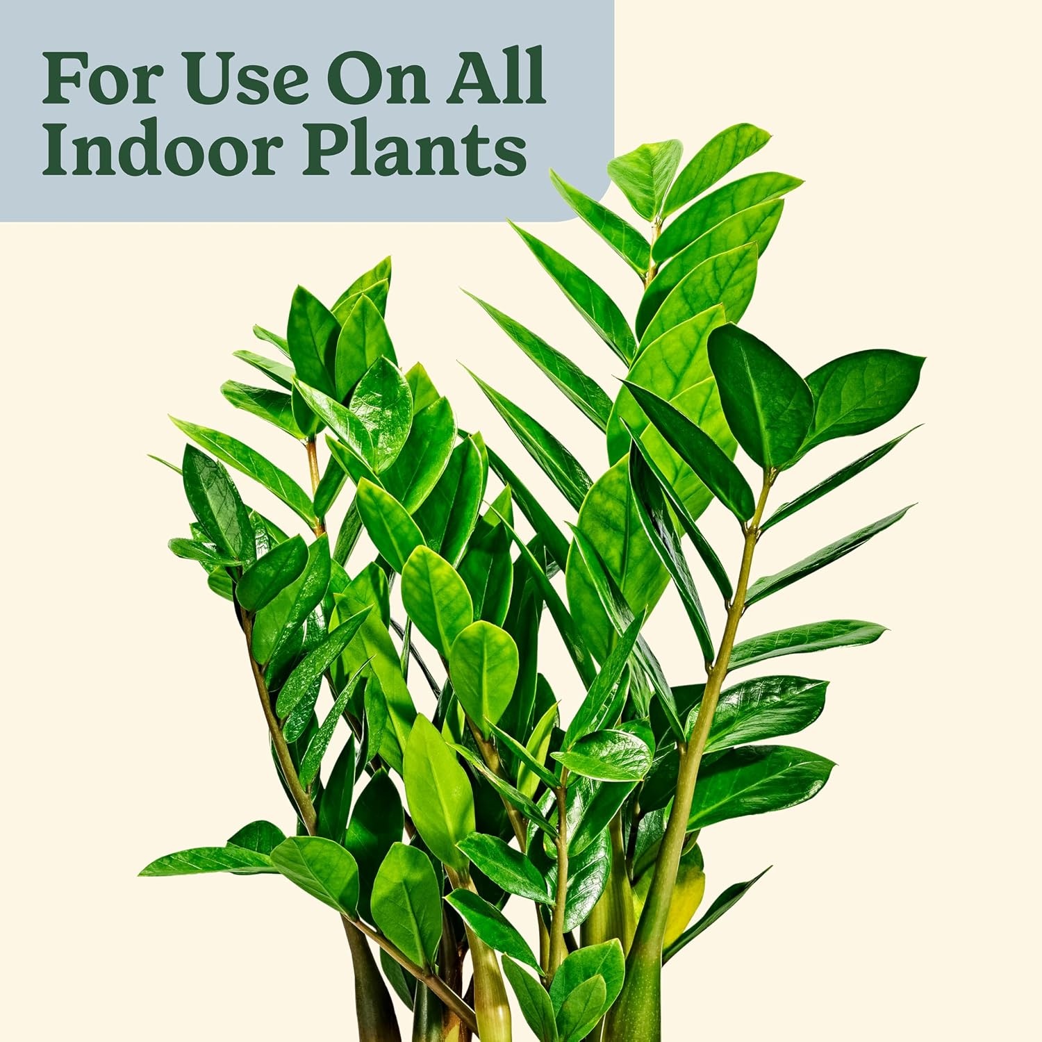 image:imageMiracleGro Plant Care Gnat Control Plant Food 4 PacketsGnat Control Plant Food