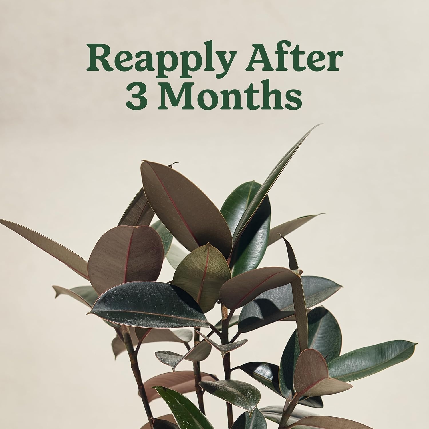 image:imageMiracleGro Plant Care Gnat Control Plant Food 4 PacketsGnat Control Plant Food