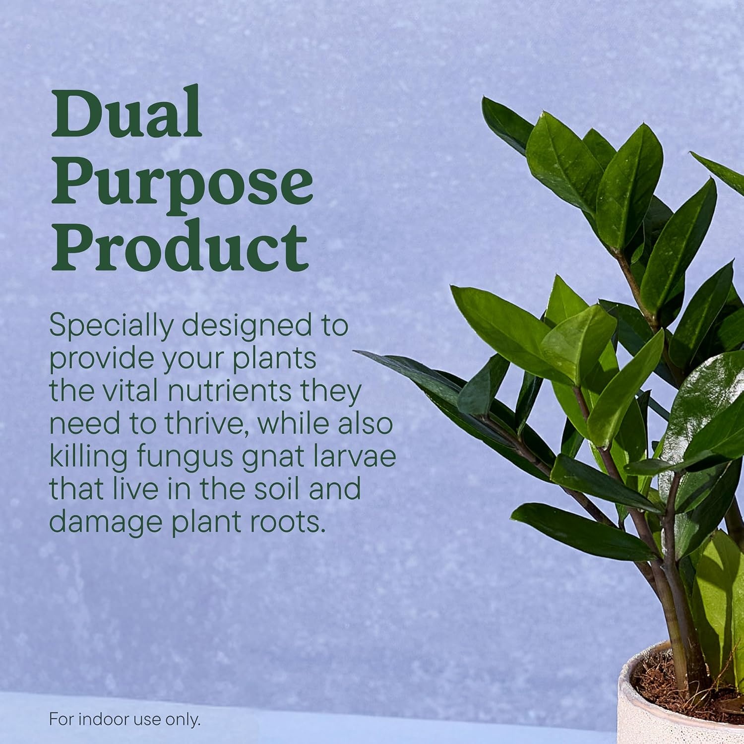 image:imageMiracleGro Plant Care Gnat Control Plant Food 4 PacketsGnat Control Plant Food