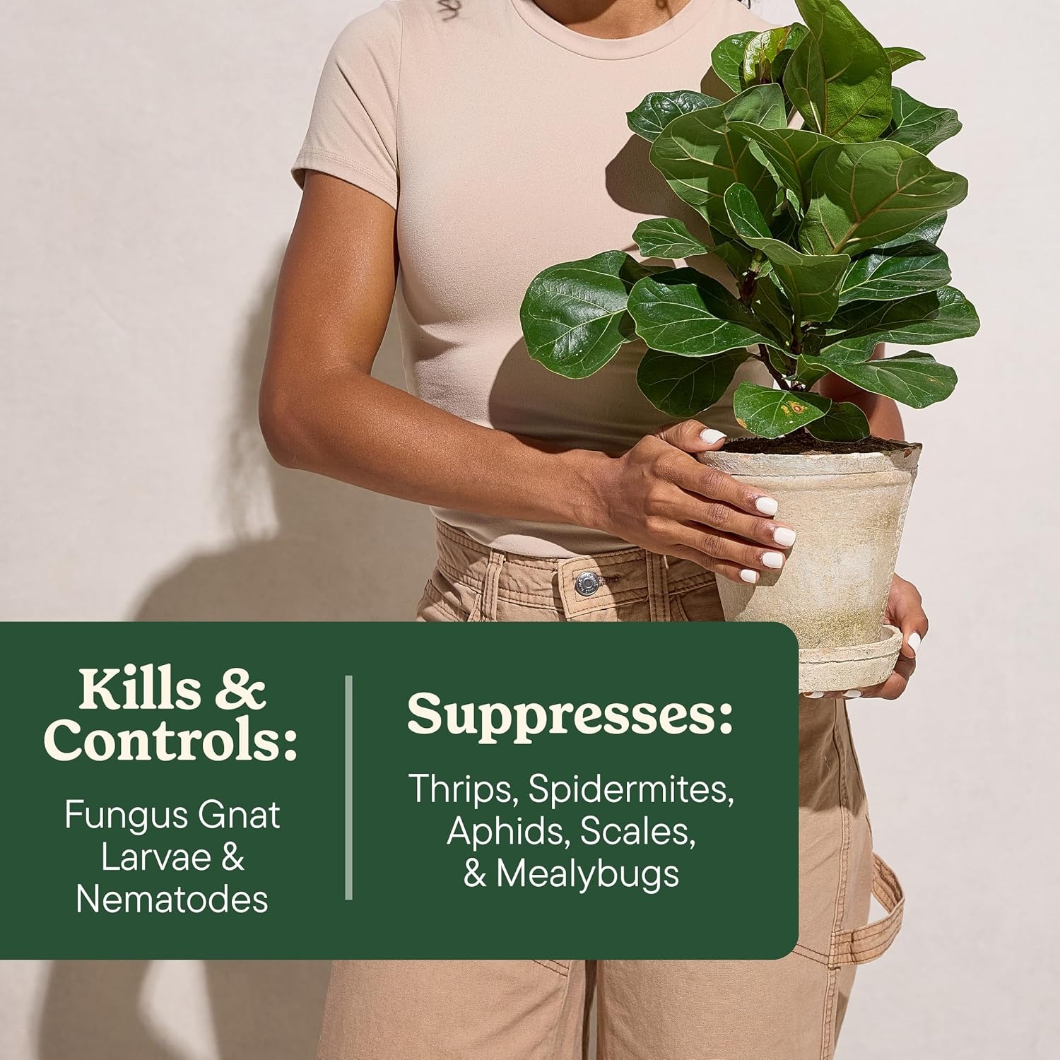 image:imageMiracleGro Plant Care Gnat Control Plant Food 4 PacketsGnat Control Plant Food