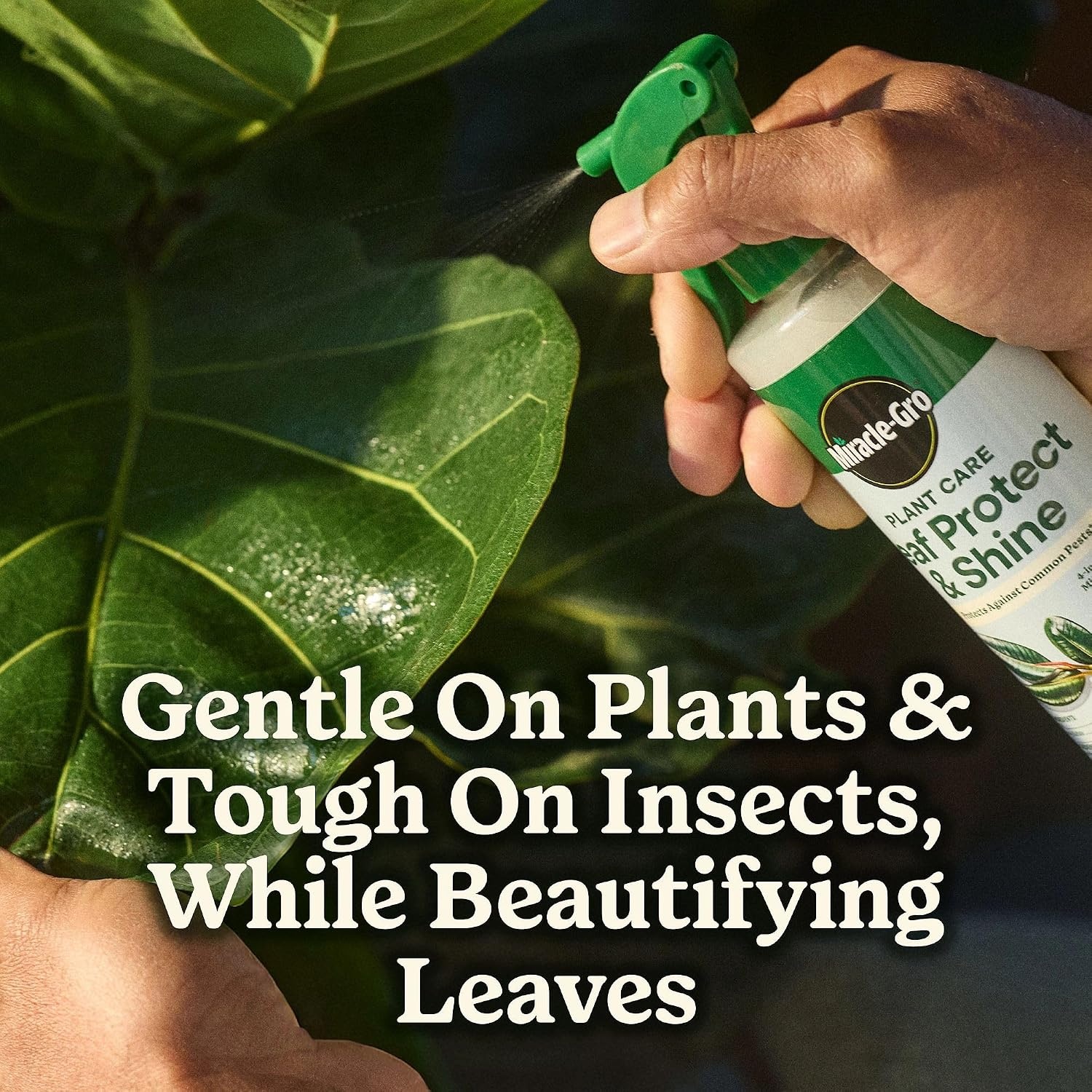 image:imageMiracleGro Plant Care Gnat Control Plant Food 4 PacketsLeaf Protect Shine