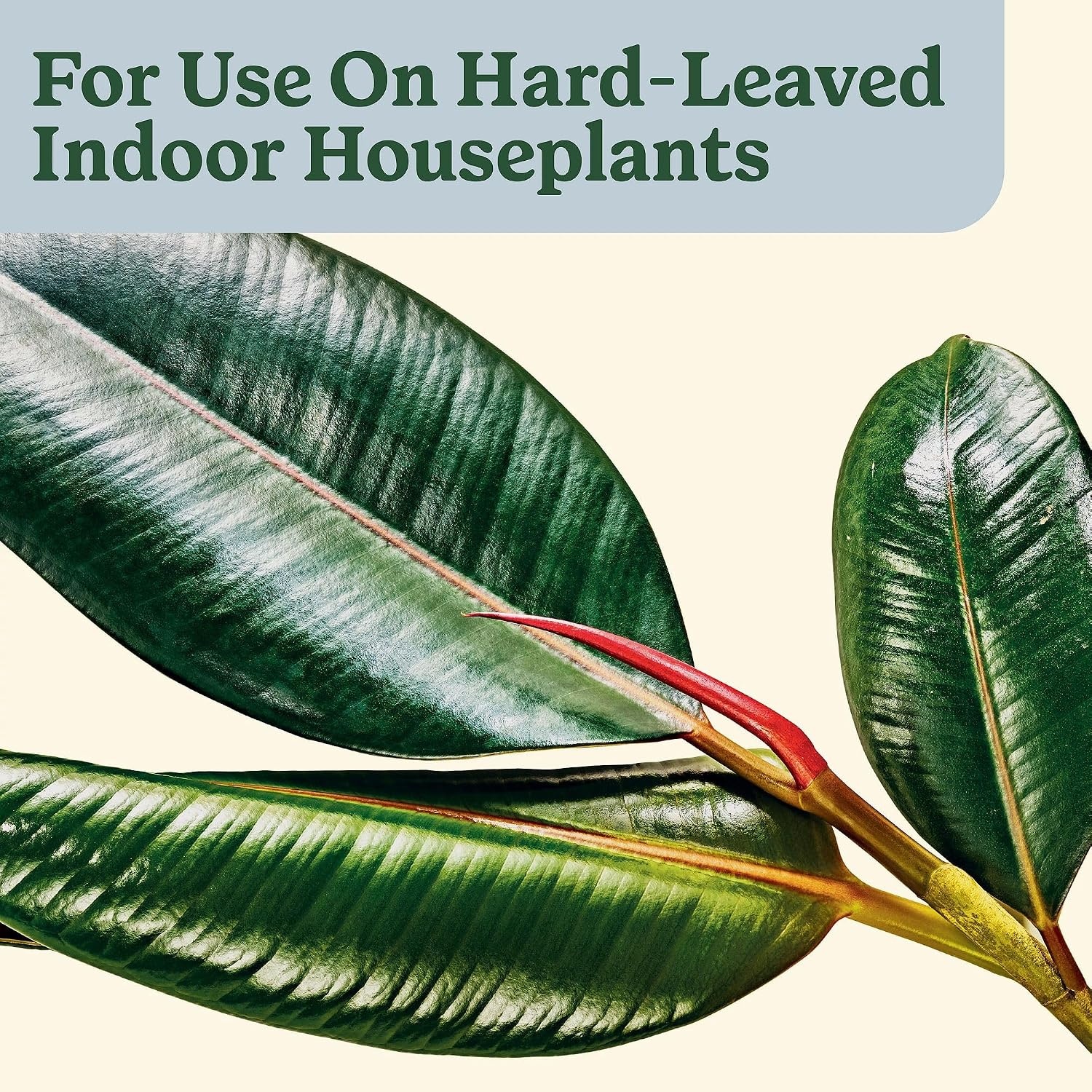 image:imageMiracleGro Plant Care Gnat Control Plant Food 4 PacketsLeaf Protect Shine