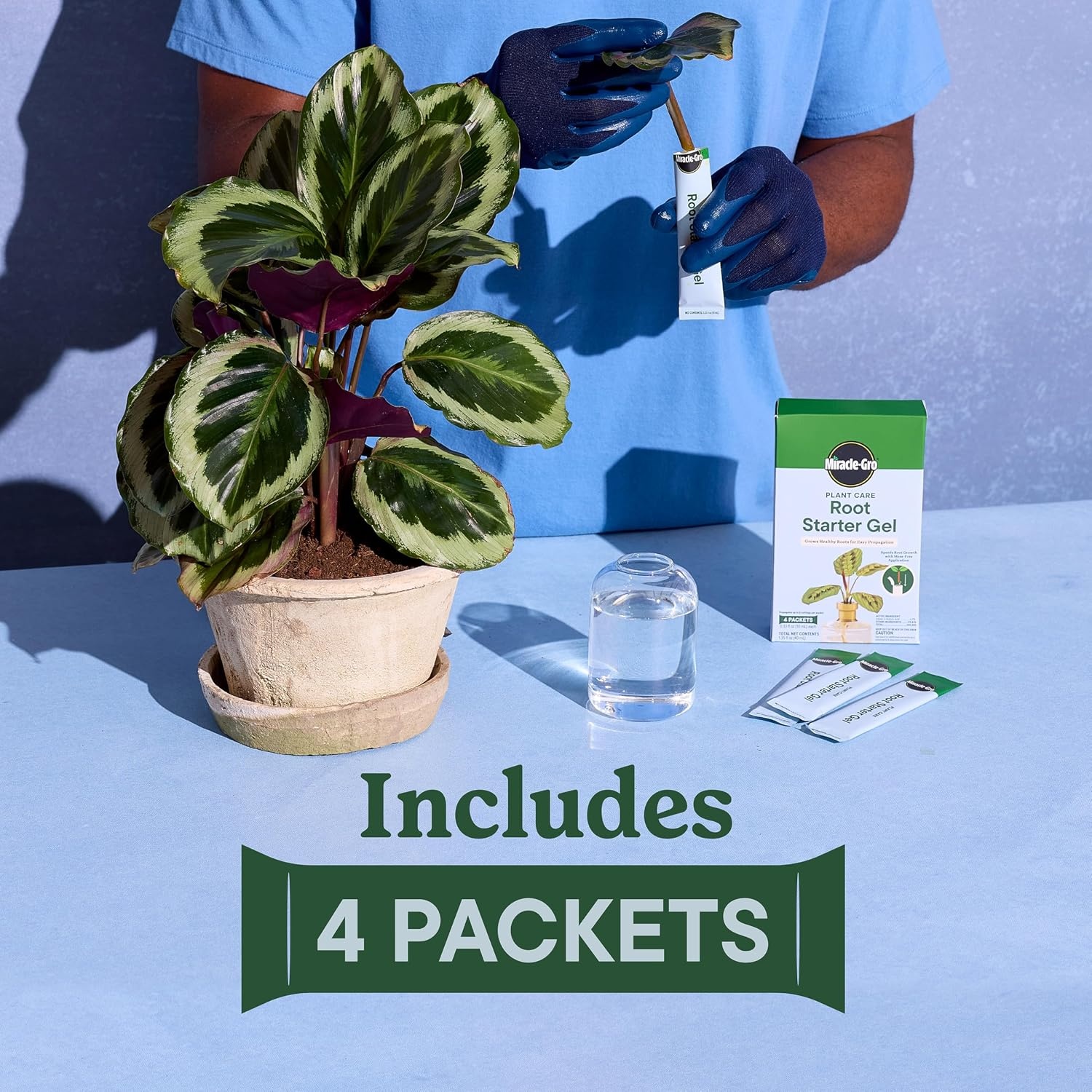 image:imageMiracleGro Plant Care Gnat Control Plant Food 4 PacketsRoot Starter Gel