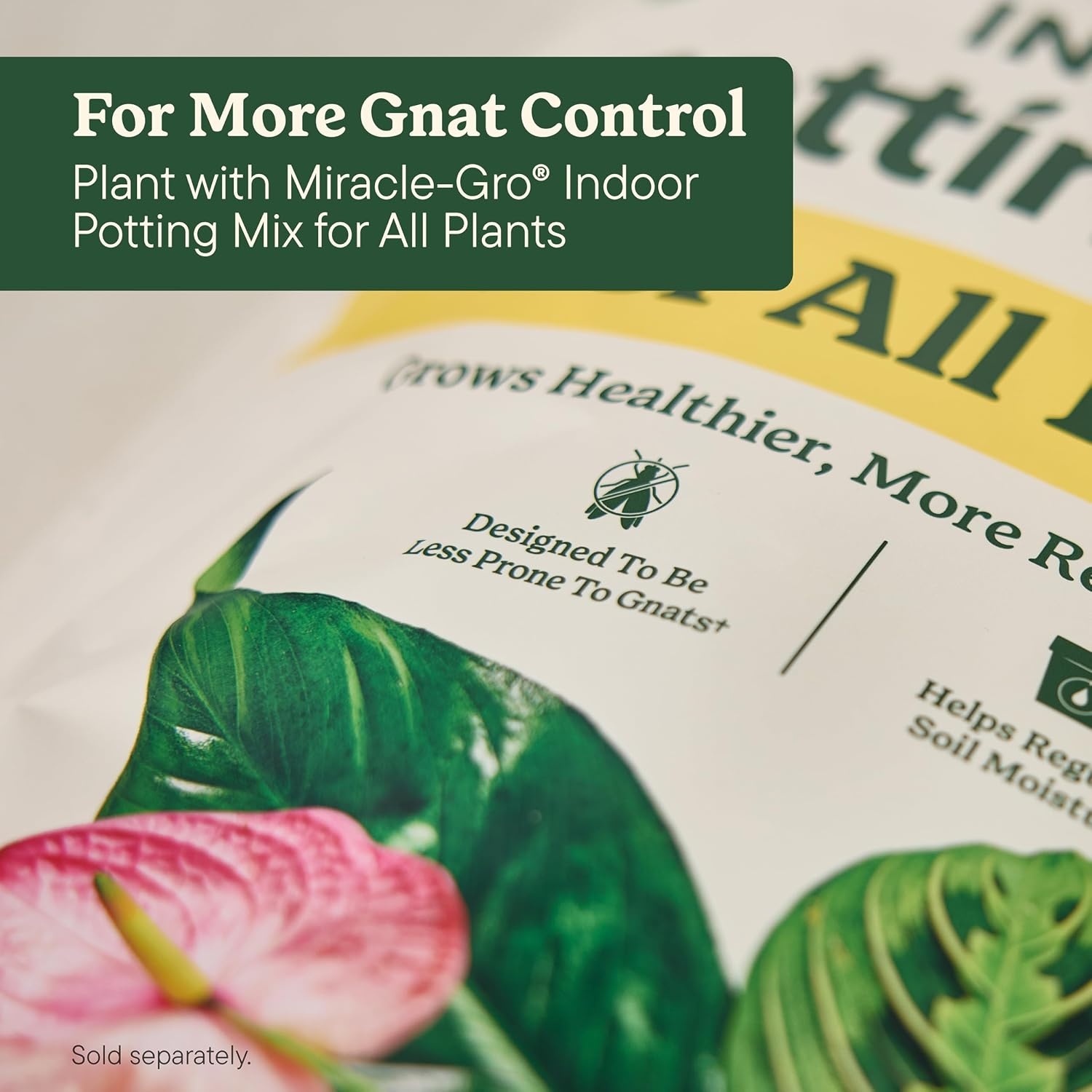 image:imageMiracleGro Plant Care Gnat Control Plant Food 4 PacketsRoot Starter Gel