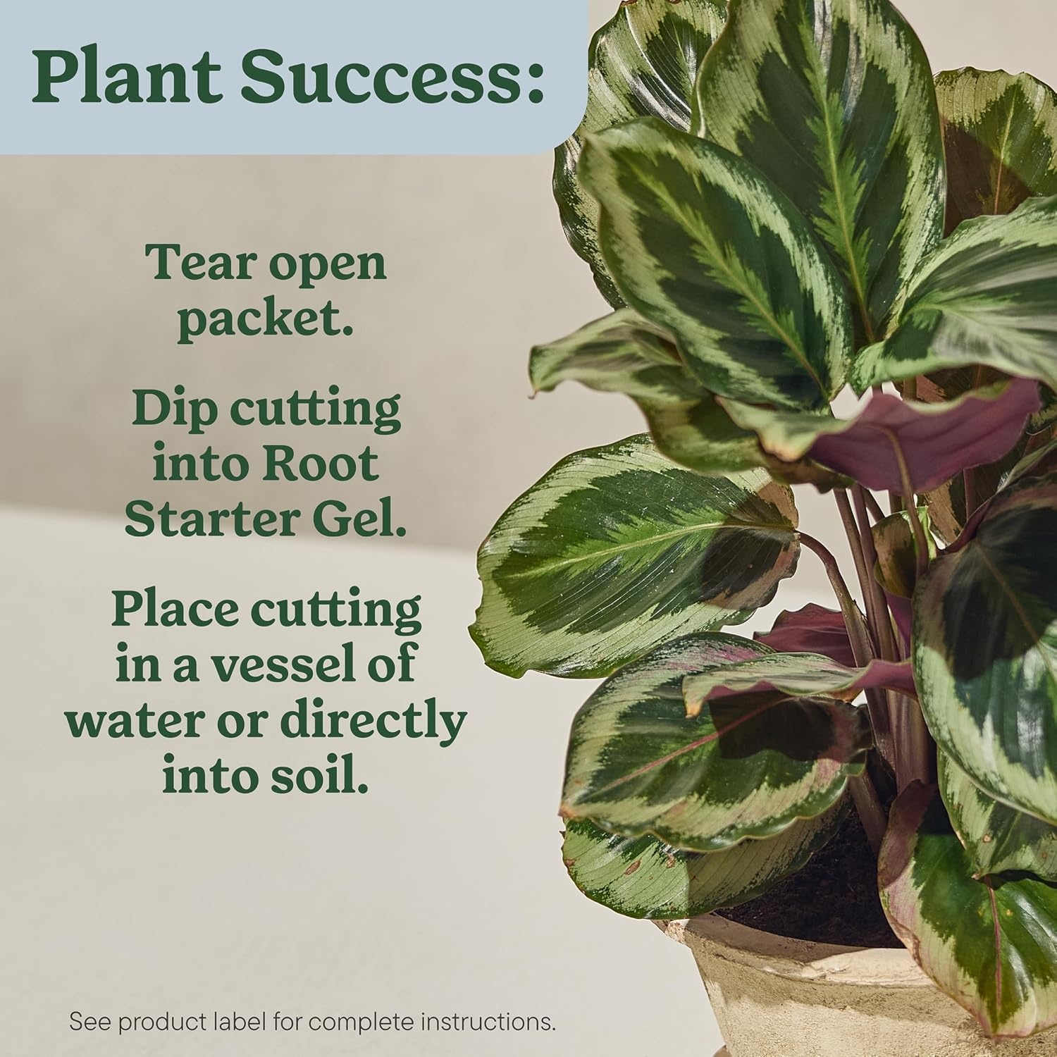 image:imageMiracleGro Plant Care Gnat Control Plant Food 4 PacketsRoot Starter Gel