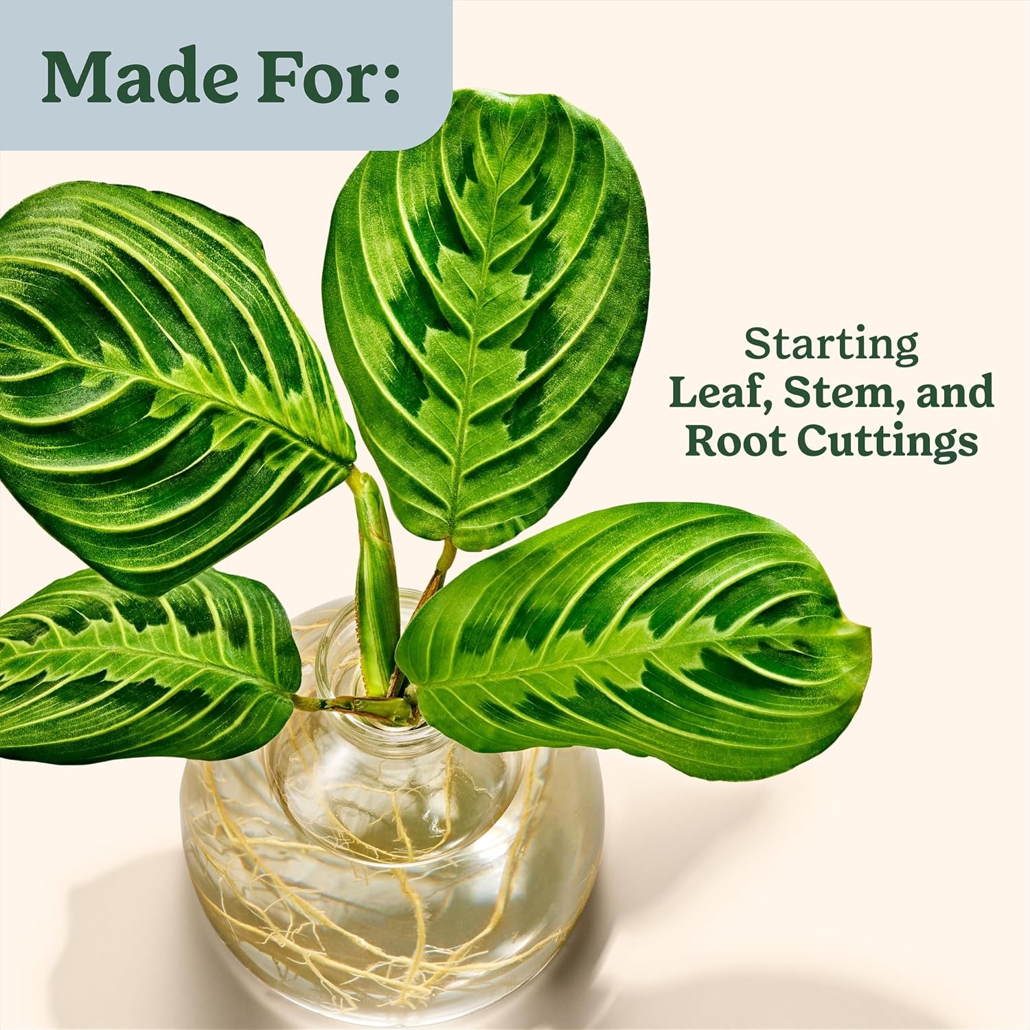 image:imageMiracleGro Plant Care Gnat Control Plant Food 4 PacketsRoot Starter Gel