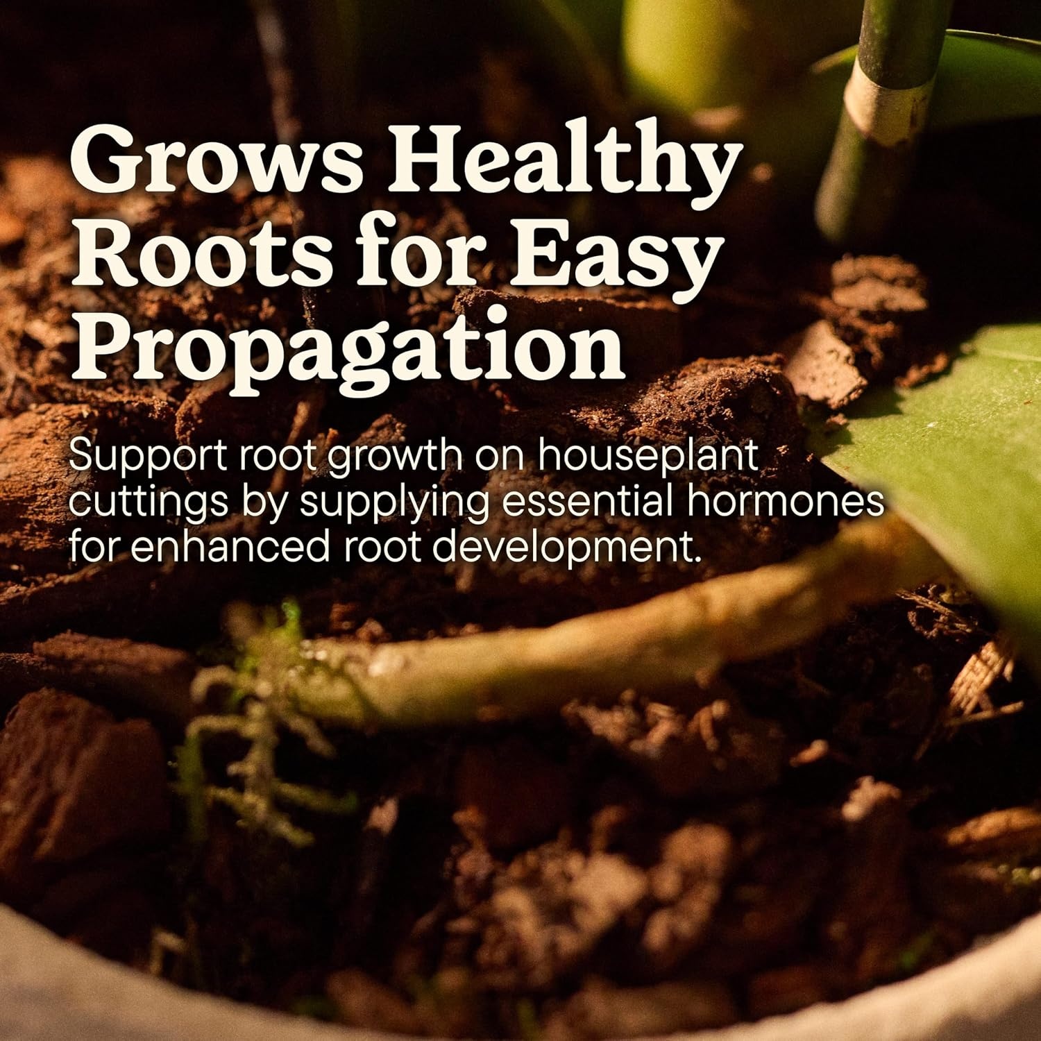 image:imageMiracleGro Plant Care Gnat Control Plant Food 4 PacketsRoot Starter Gel