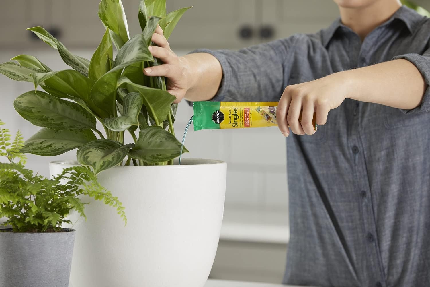 image:imageMiracleGro Pour amp Feed Plant Food 32 fl oz2 oz Singles