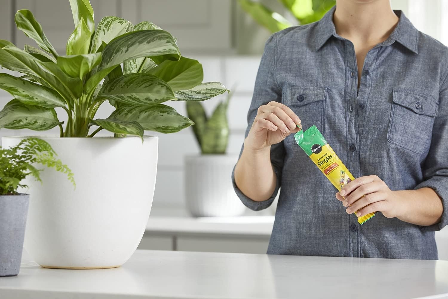 image:imageMiracleGro Pour amp Feed Plant Food 32 fl oz2 oz Singles