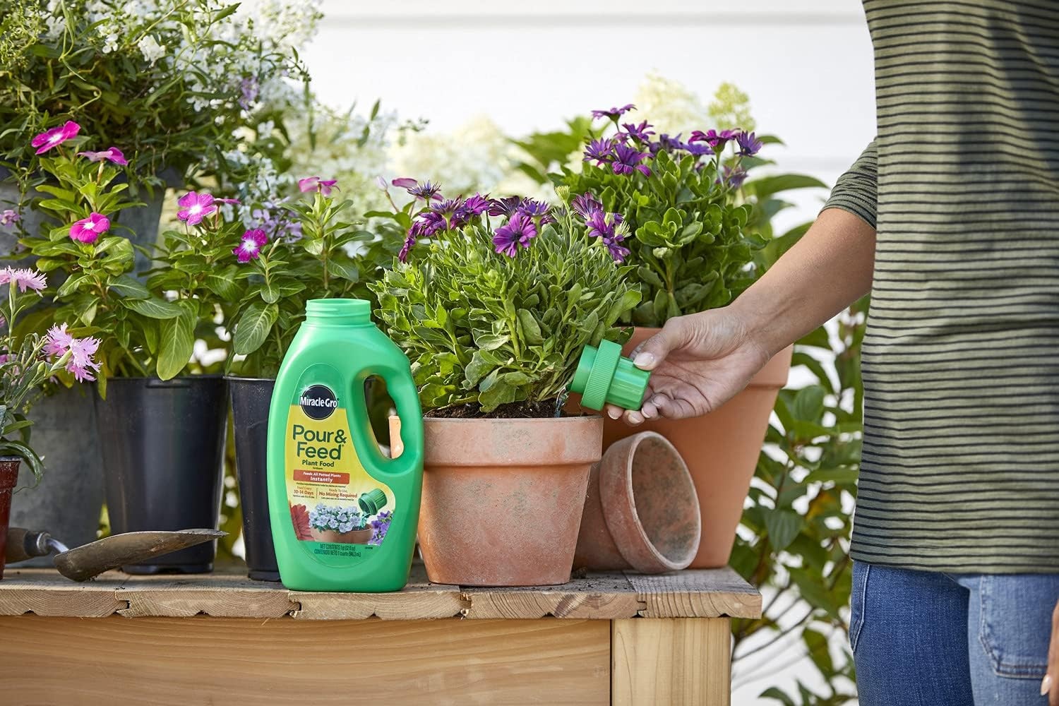 image:imageMiracleGro Pour amp Feed Plant Food 32 fl oz32 oz Pack of 6
