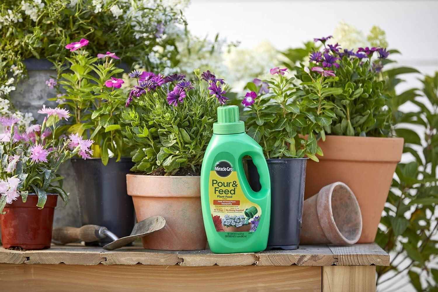 image:imageMiracleGro Pour amp Feed Plant Food 32 fl oz32 oz Pack of 6