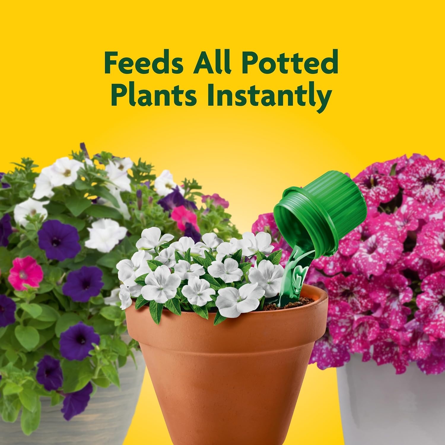 image:imageMiracleGro Pour amp Feed Plant Food 32 fl oz32 oz Single