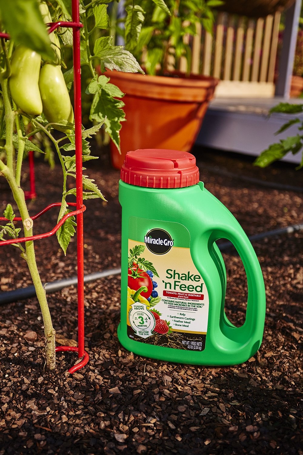 image:imageMiracleGro Shake N Feed All Purpose Plant Food 1 lb45 lb Pack of 6